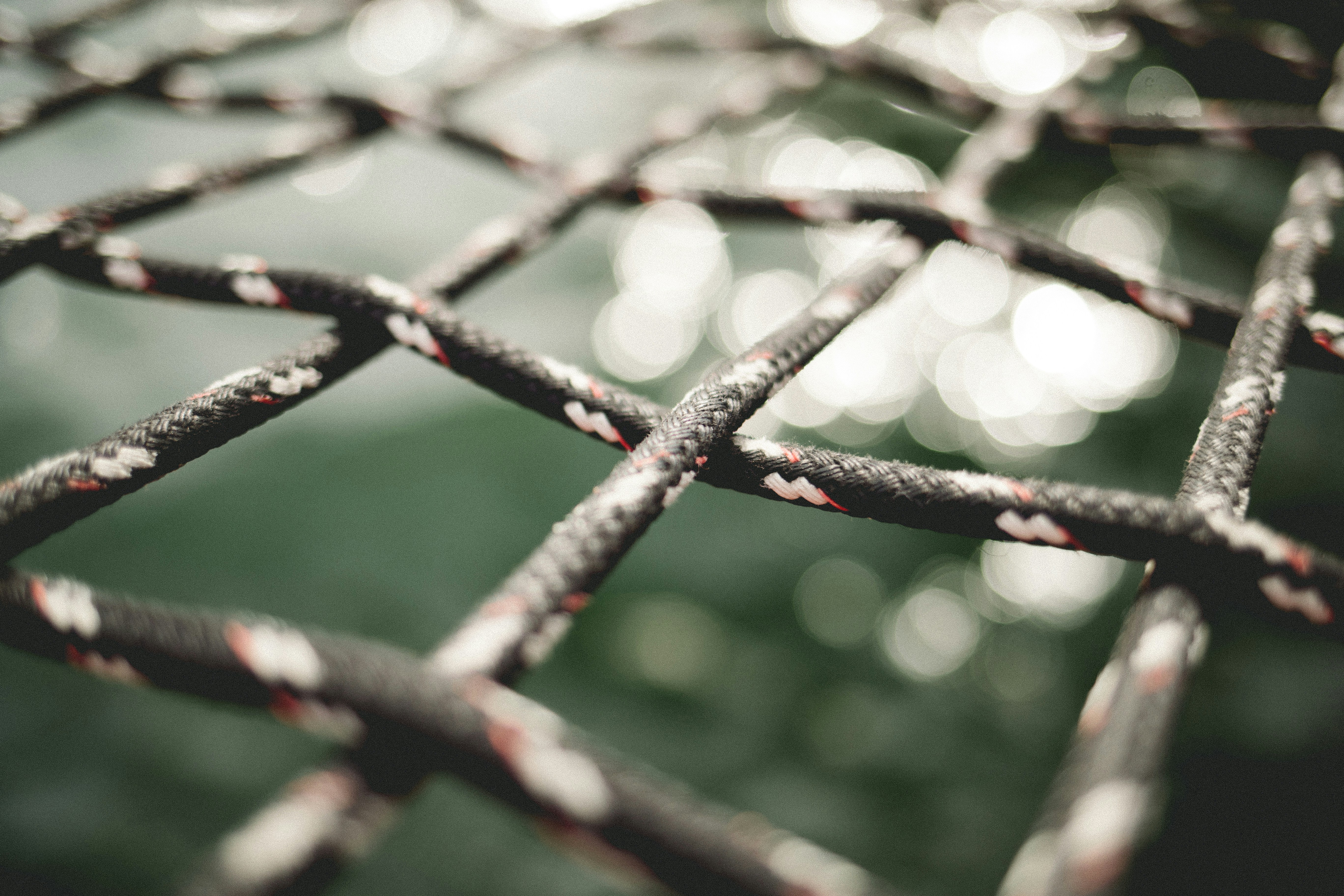 Photo by jackdelulio