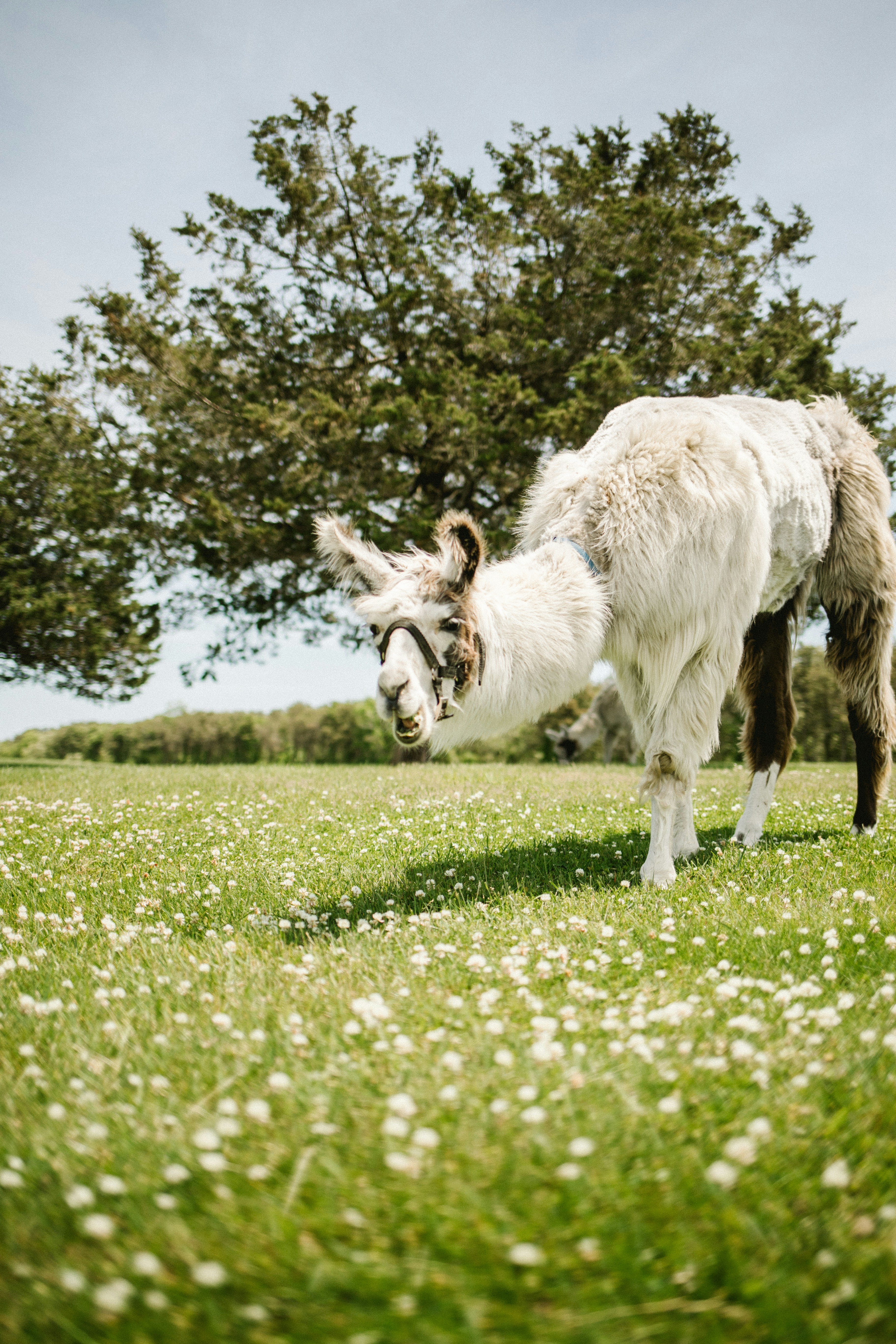 Photo by jackdelulio