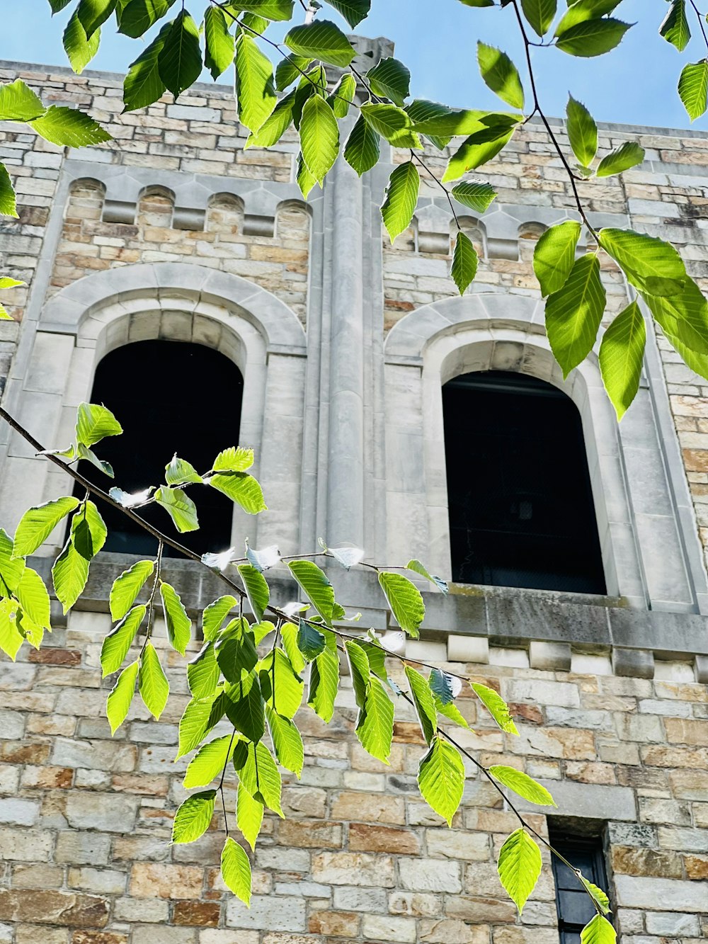 a tall brick building with two windows and green leaves