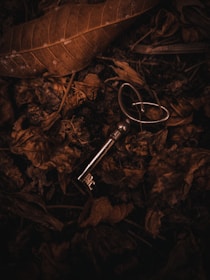 a key laying on top of leaves on the ground