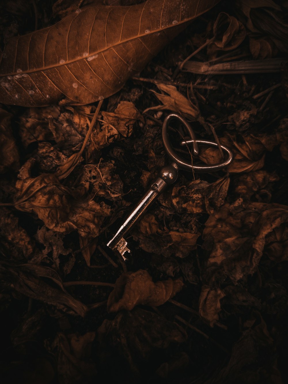 a key laying on top of leaves on the ground
