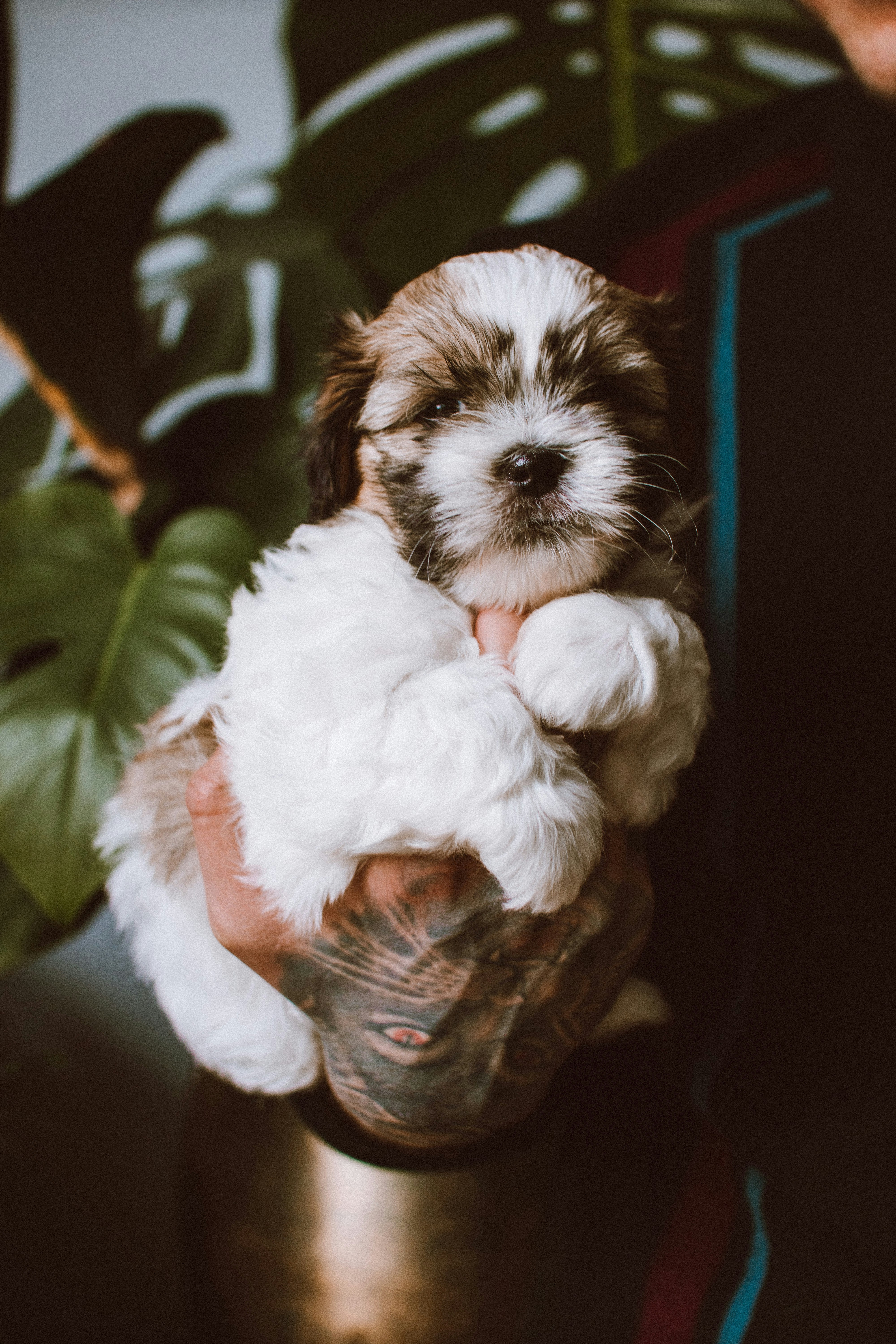 Photo by lanathegraves