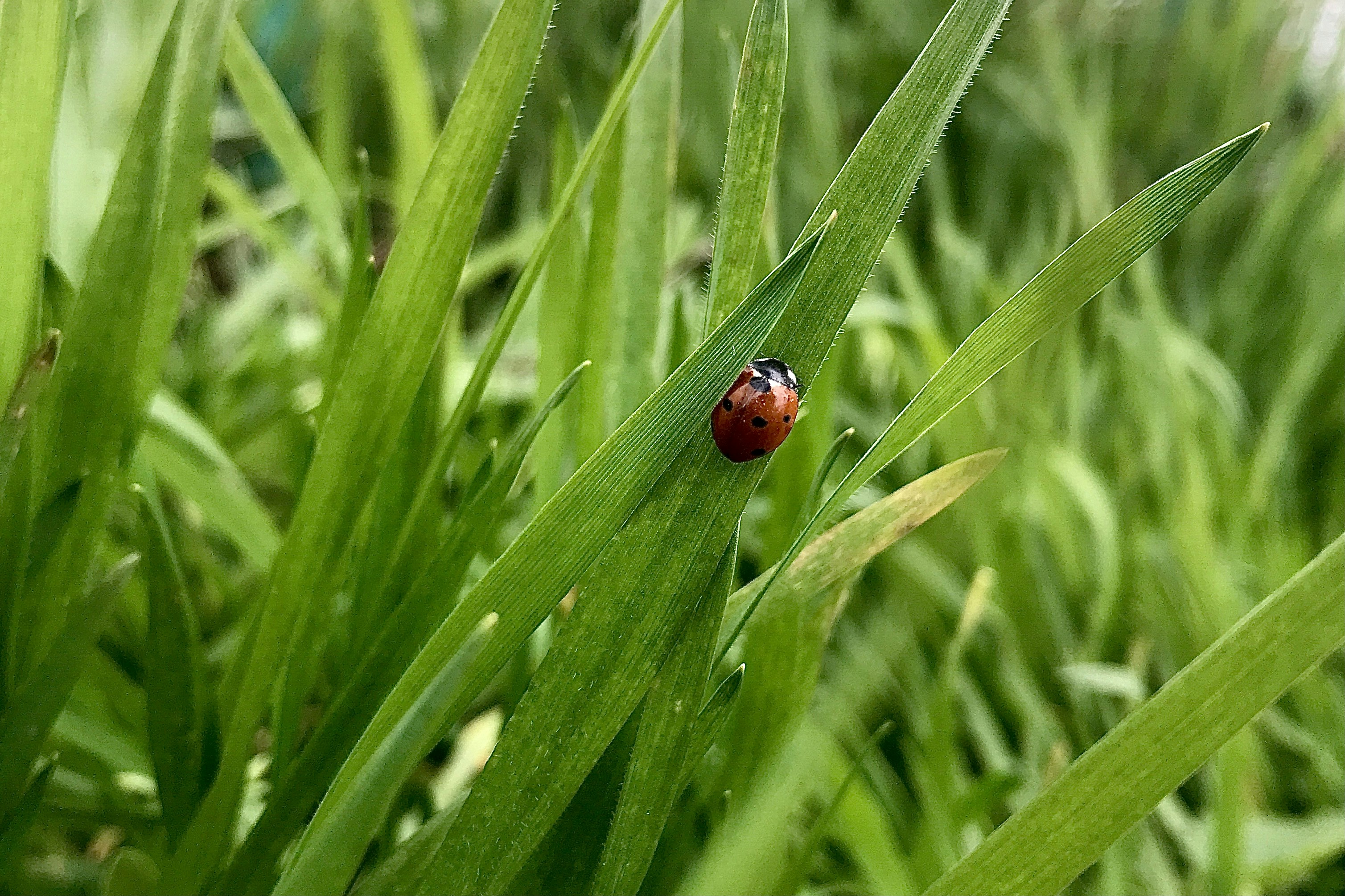 Photo by adrian_xxix