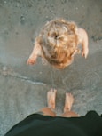 a little girl standing on top of a sandy beach