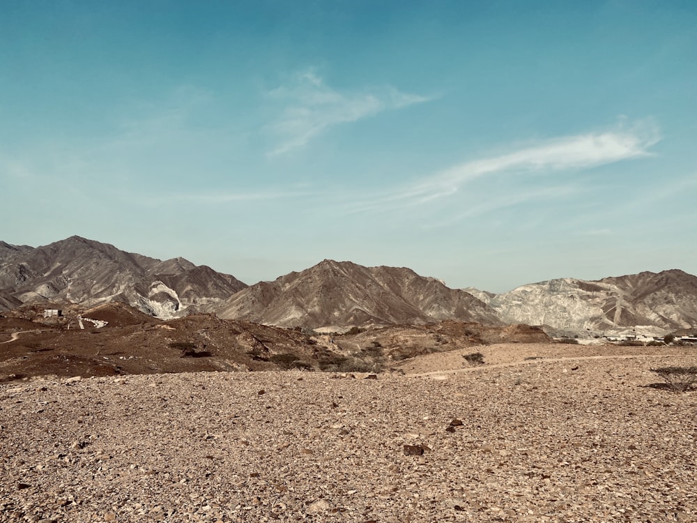 Un paisaje desértico con montañas al fondo