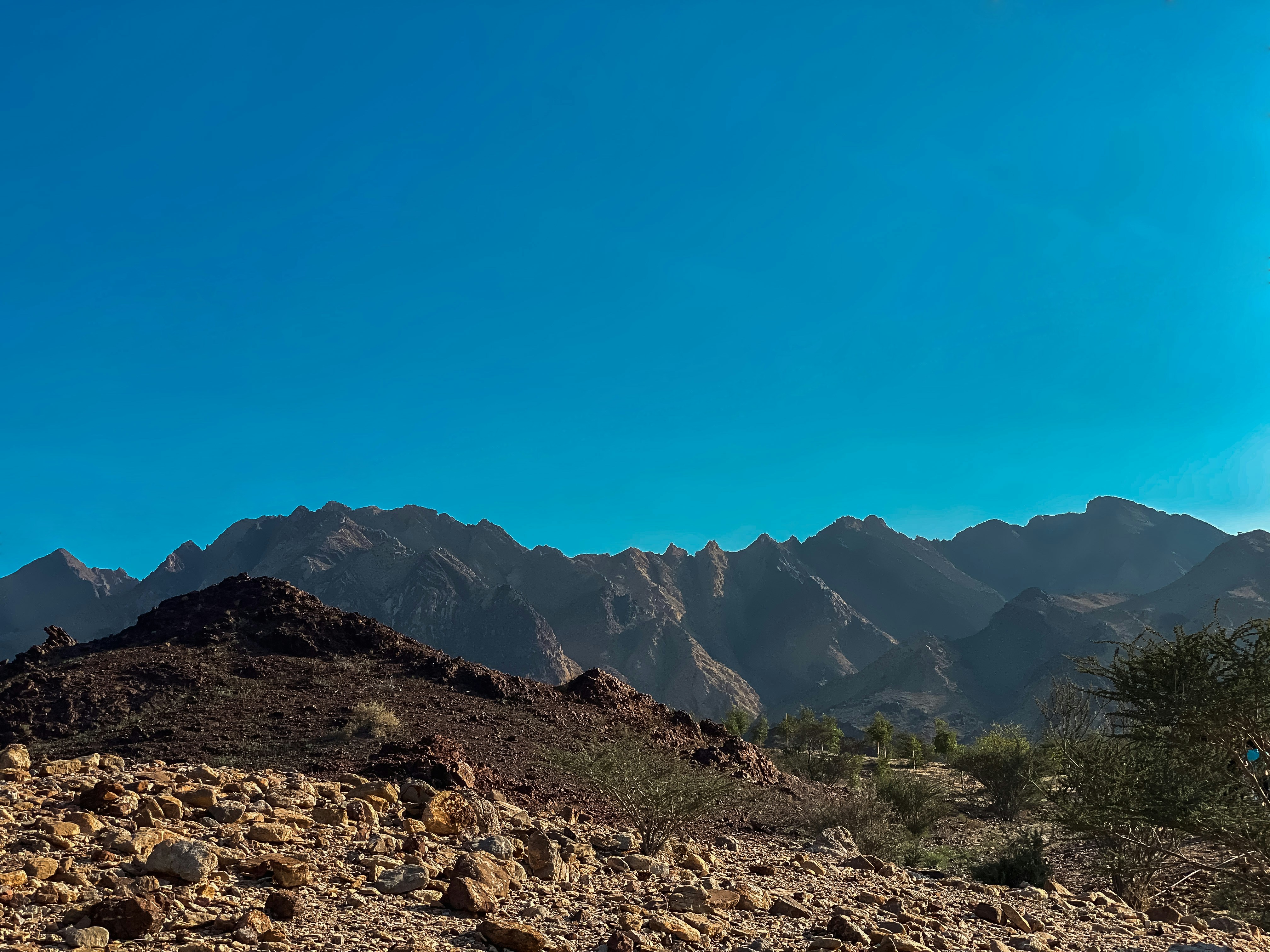 Photo by saifaldhaher