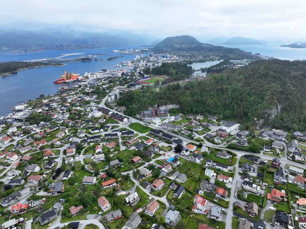 a bird's eye view of a small town by the water