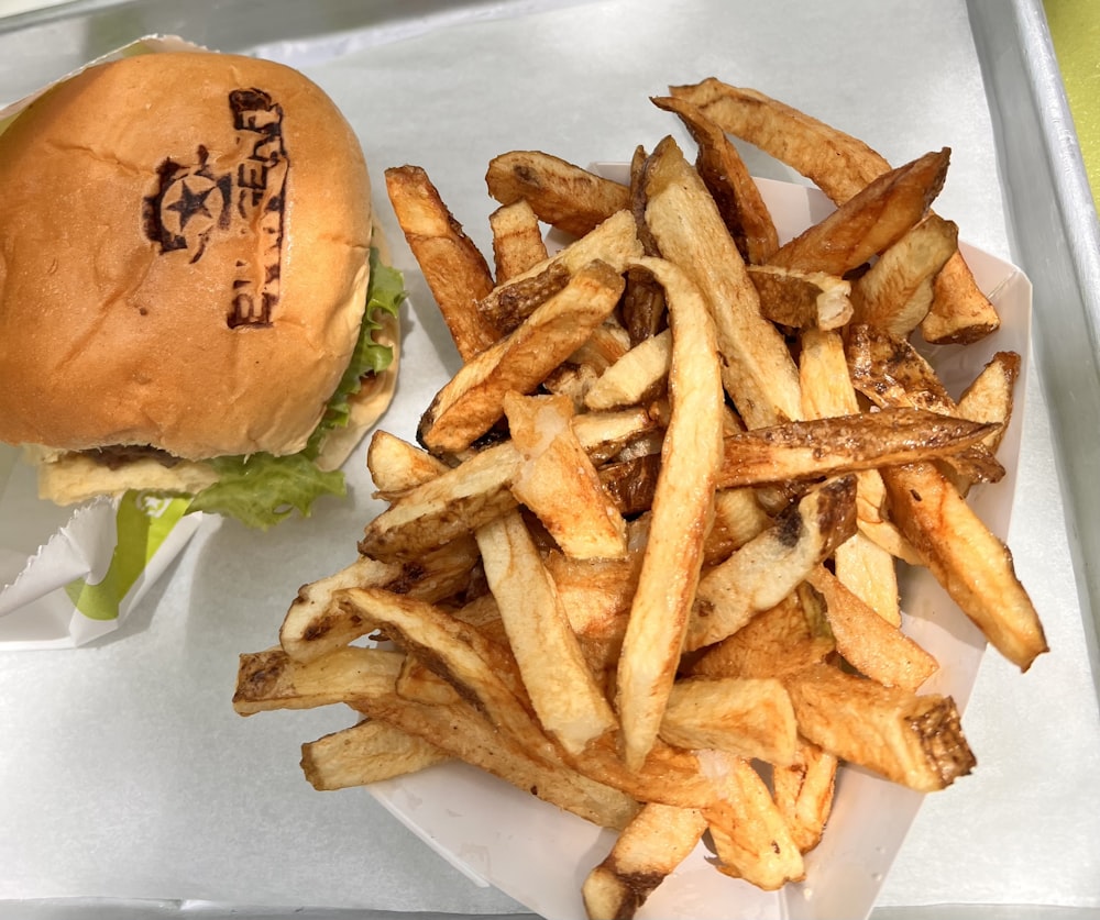 a sandwich and french fries on a tray