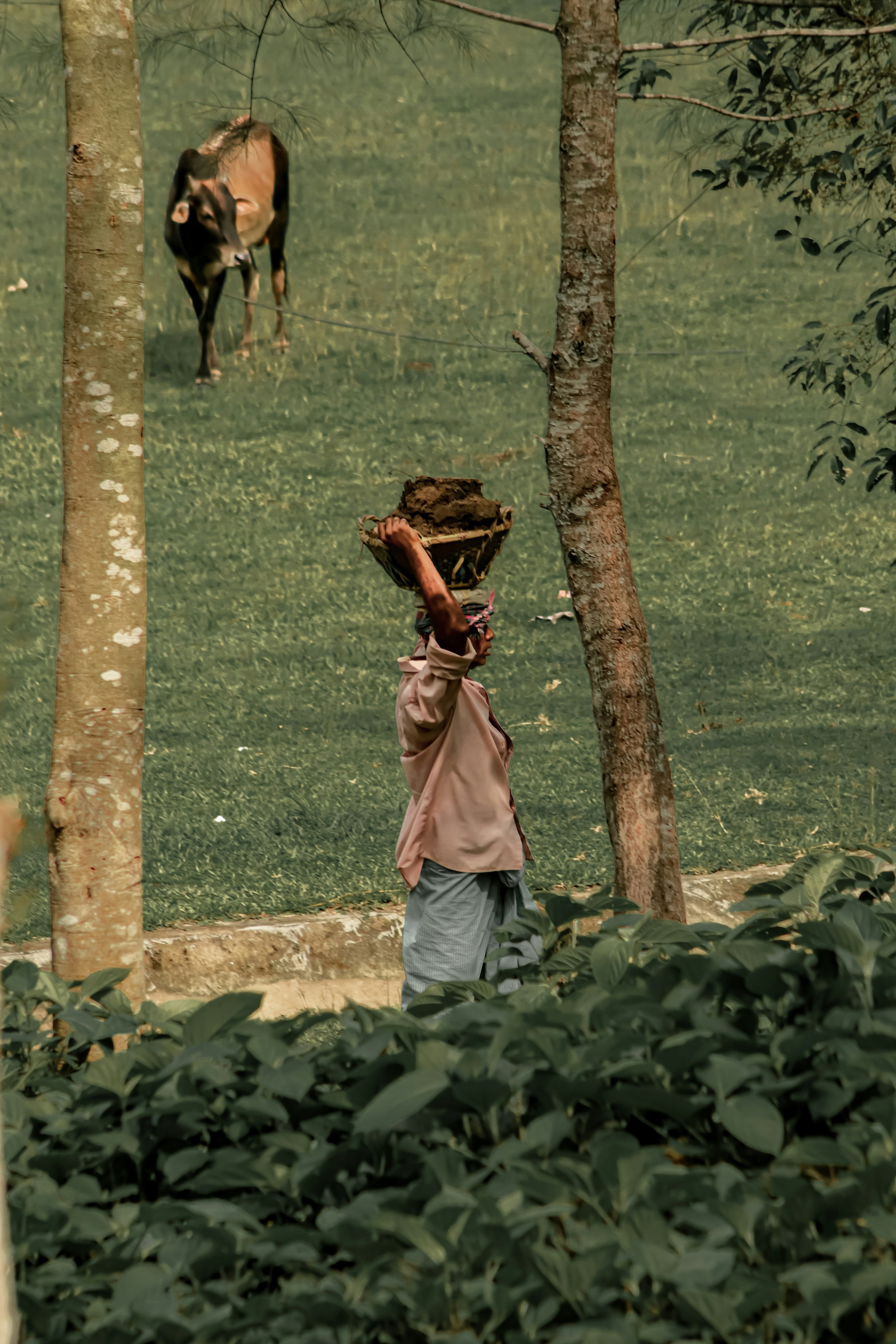 a person walking in a field with a basket on their head