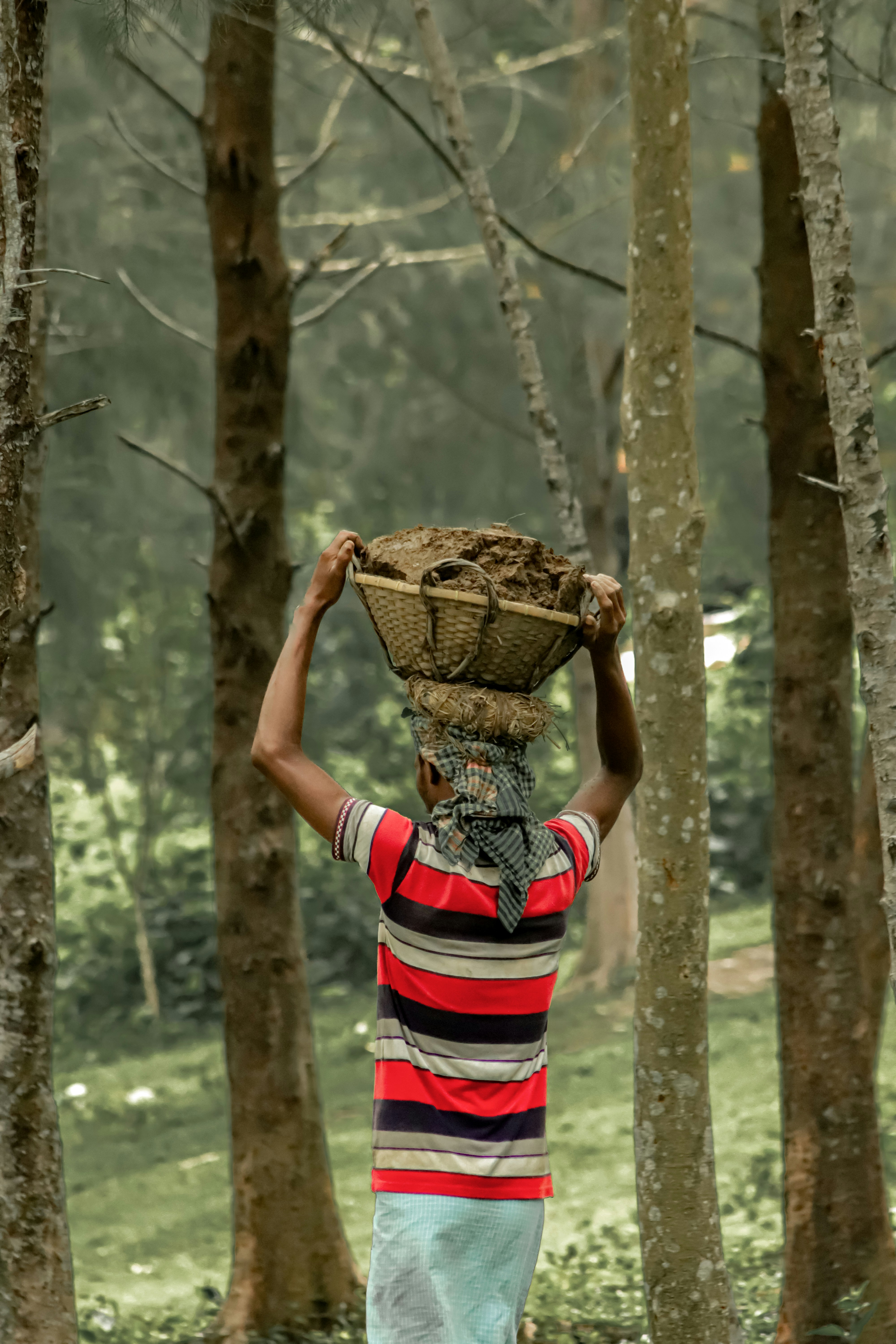 a man carrying a basket on his head through a forest