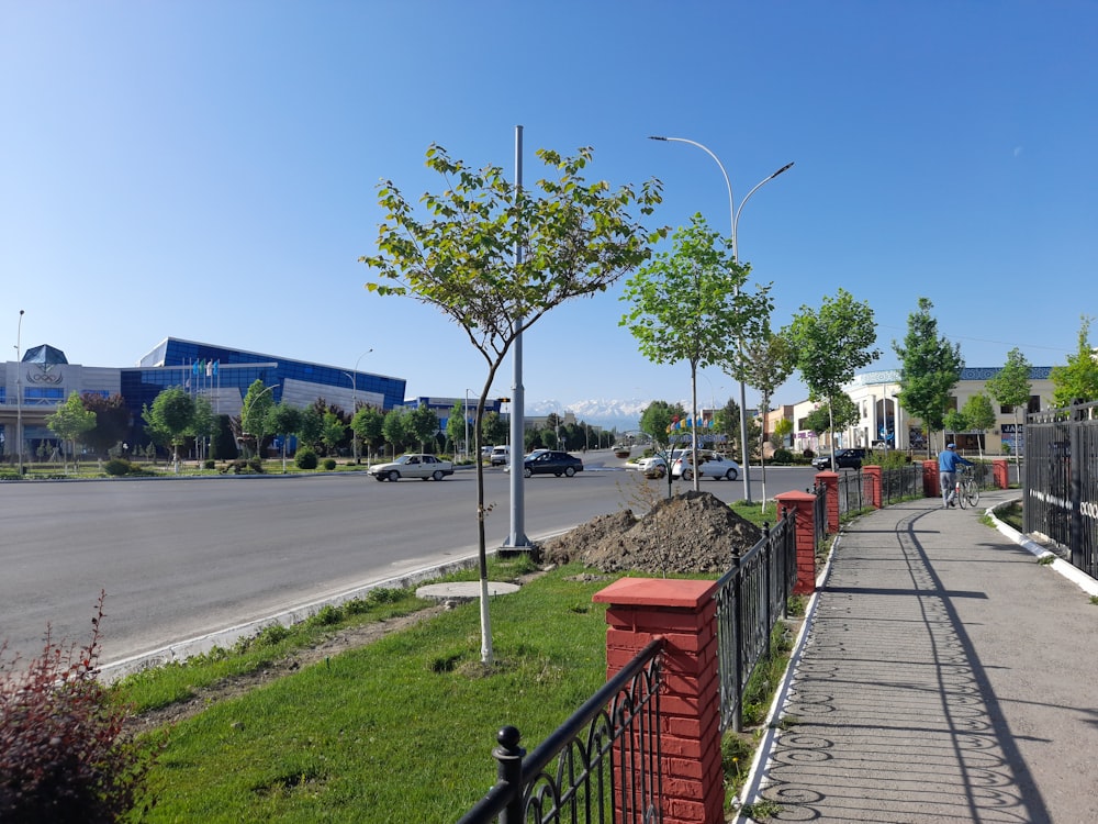 a street lined with lots of green grass next to a road