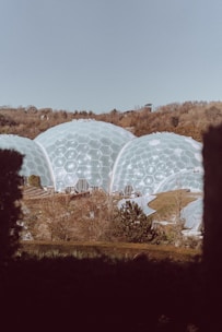 Large geodesic domes resembling greenhouses are positioned in a natural setting, surrounded by trees and foliage. The structures are made up of a network of hexagonal panels, and the surrounding area is lush with greenery and a clear sky overhead.