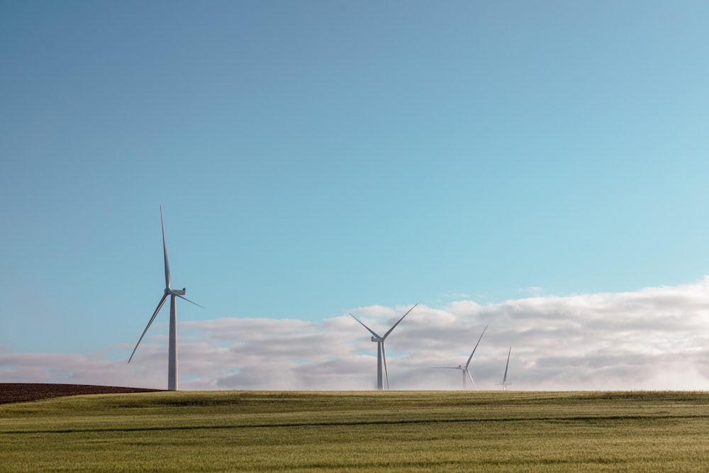 a group of wind turbines in a field