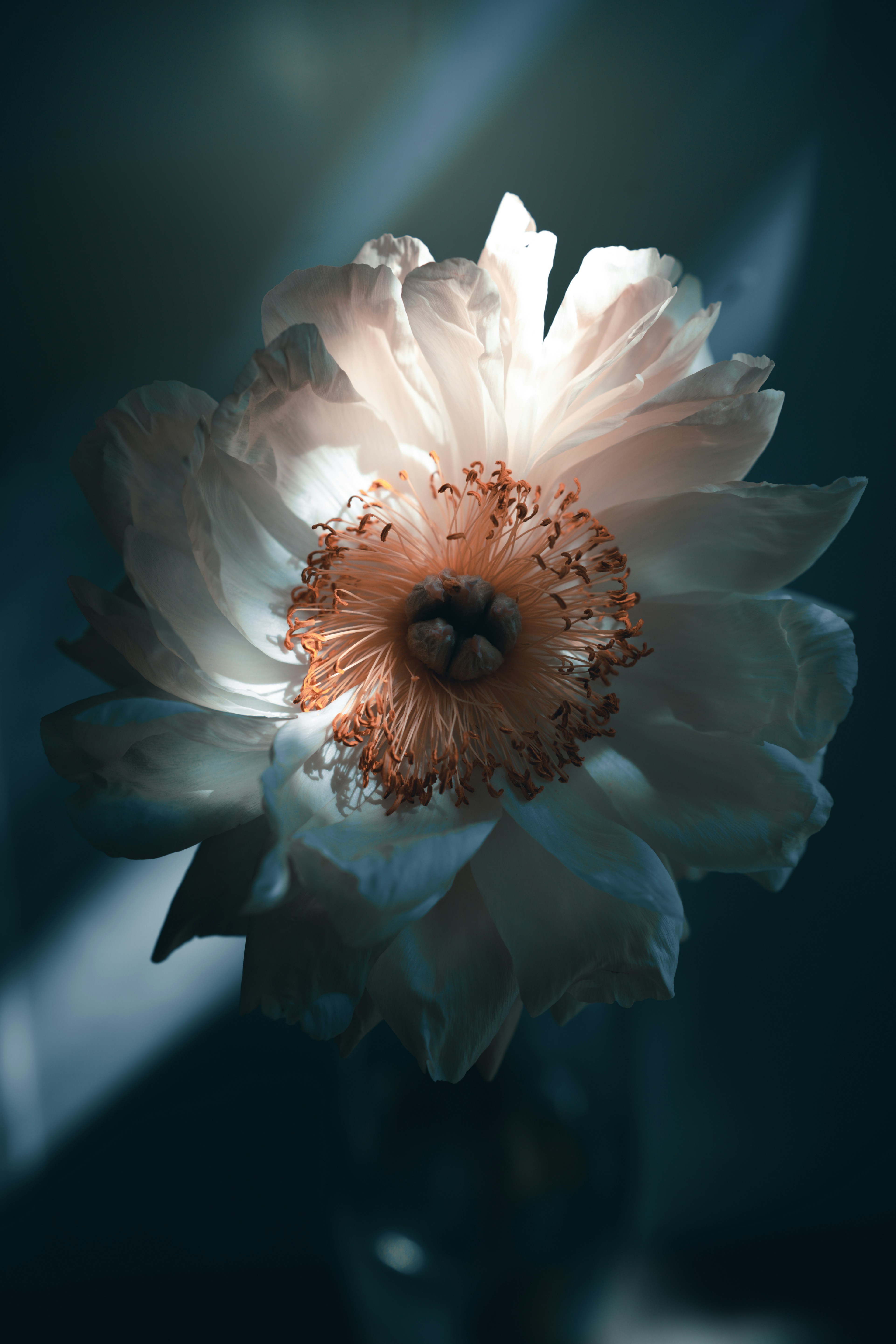 Photo by anamnesis33