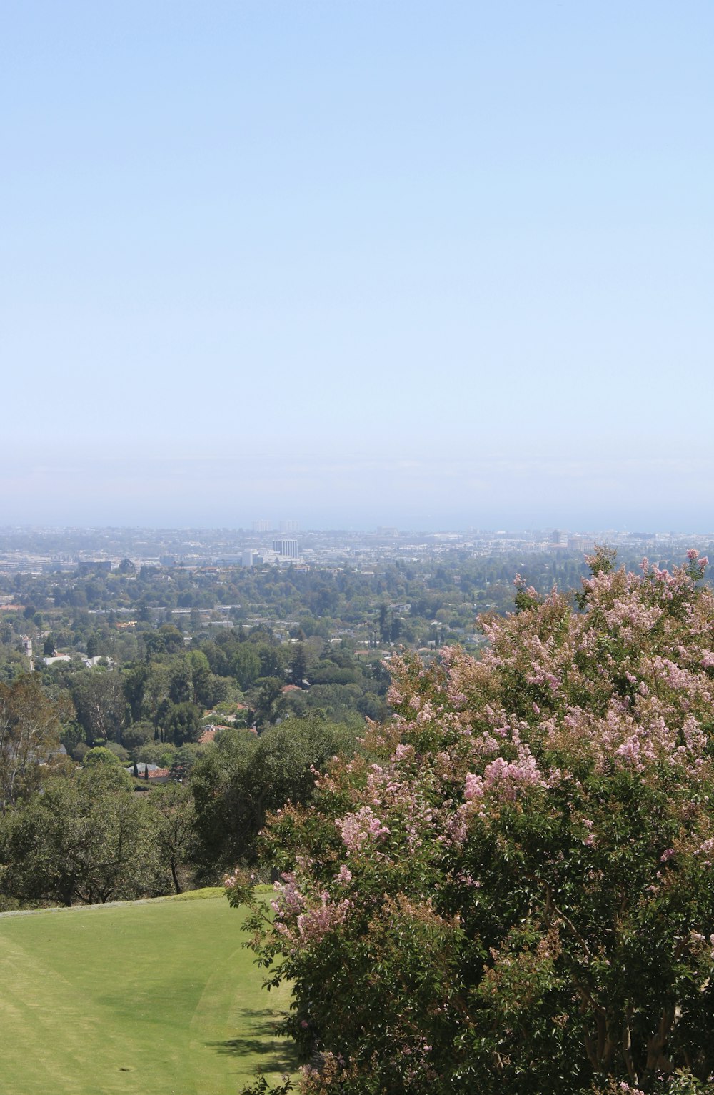 a view of the city from the top of a hill