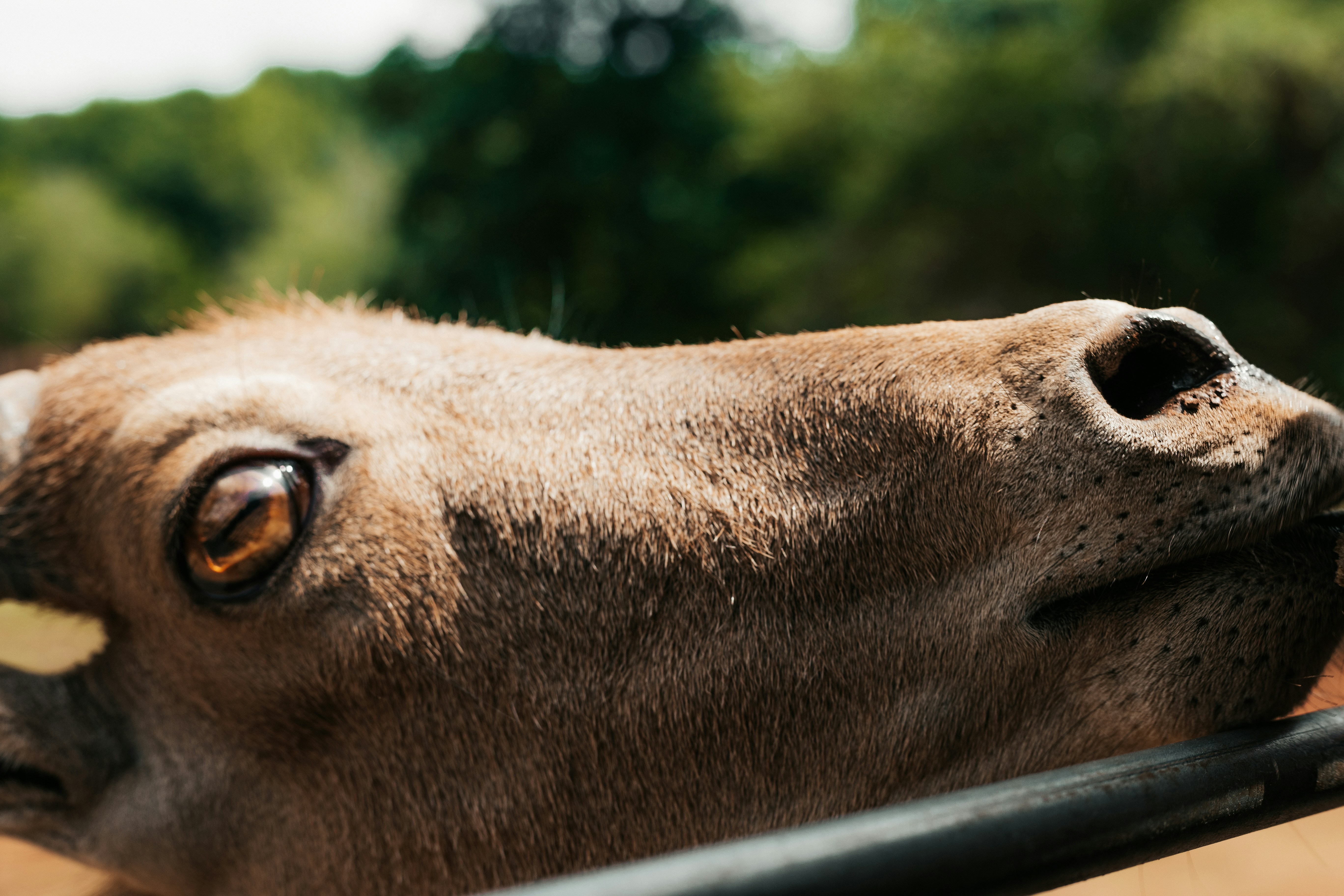 Photo by andrew_creative