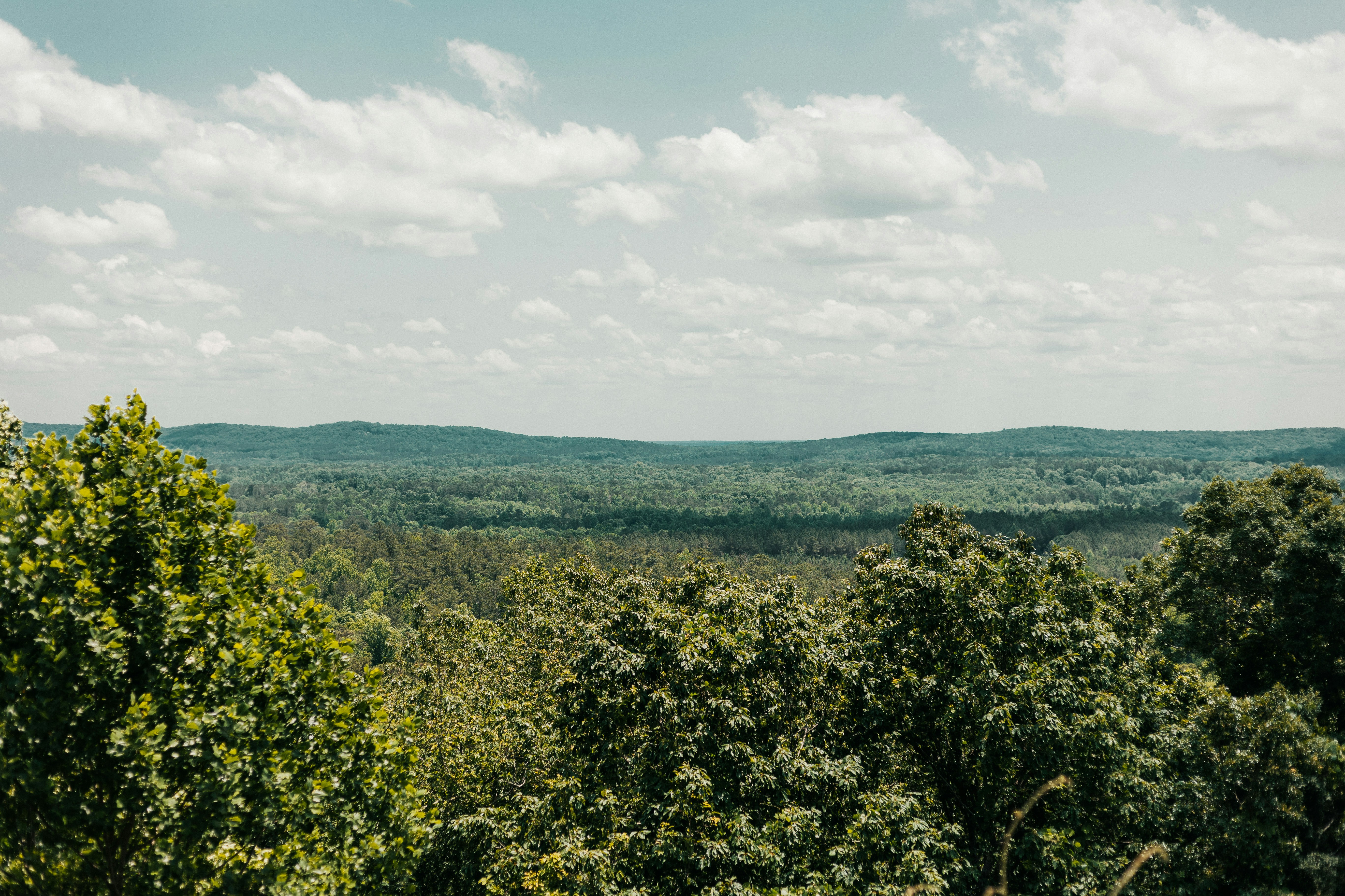 Photo by andrew_creative