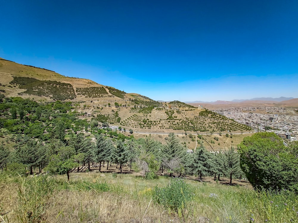 a scenic view of a valley with trees on the side