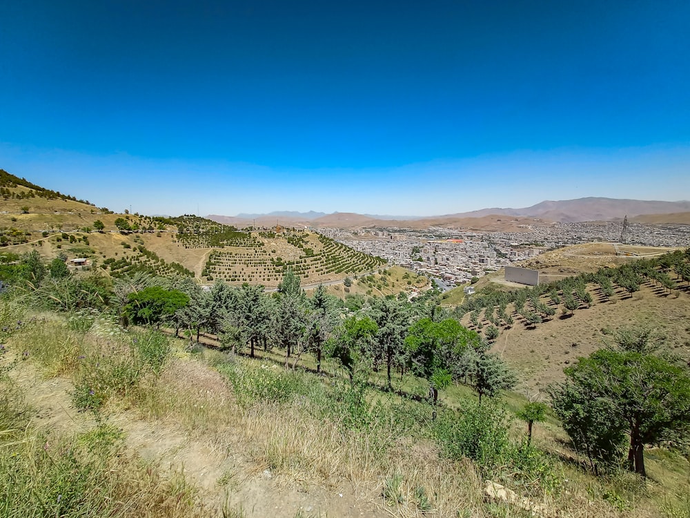 a scenic view of a city from a hill