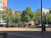 An image of a neighborhood park, symbolizing community connection and civic involvement.