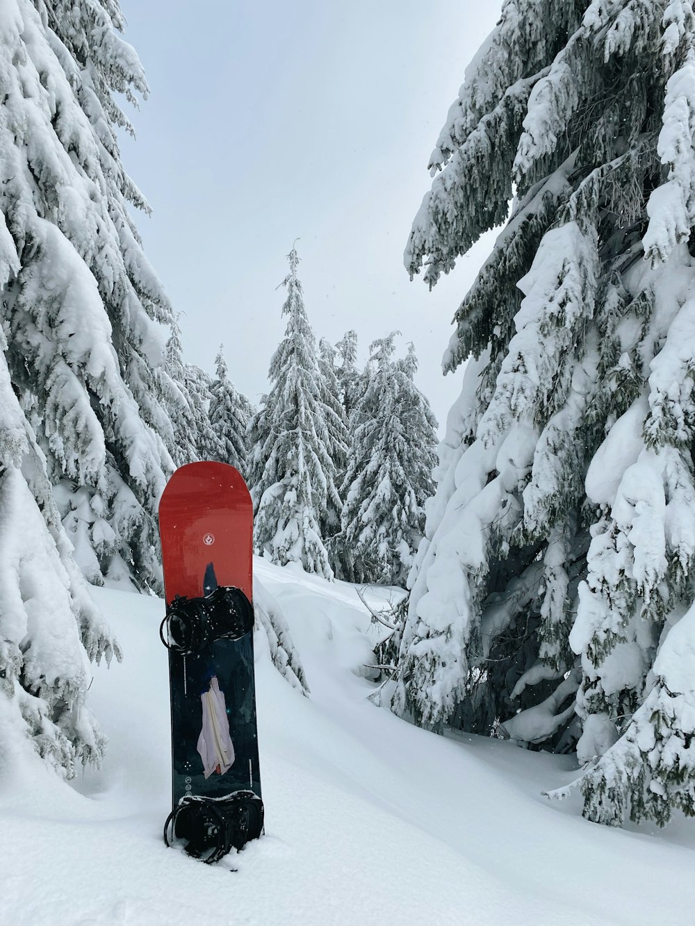 a snowboard sitting in the middle of a snowy forest