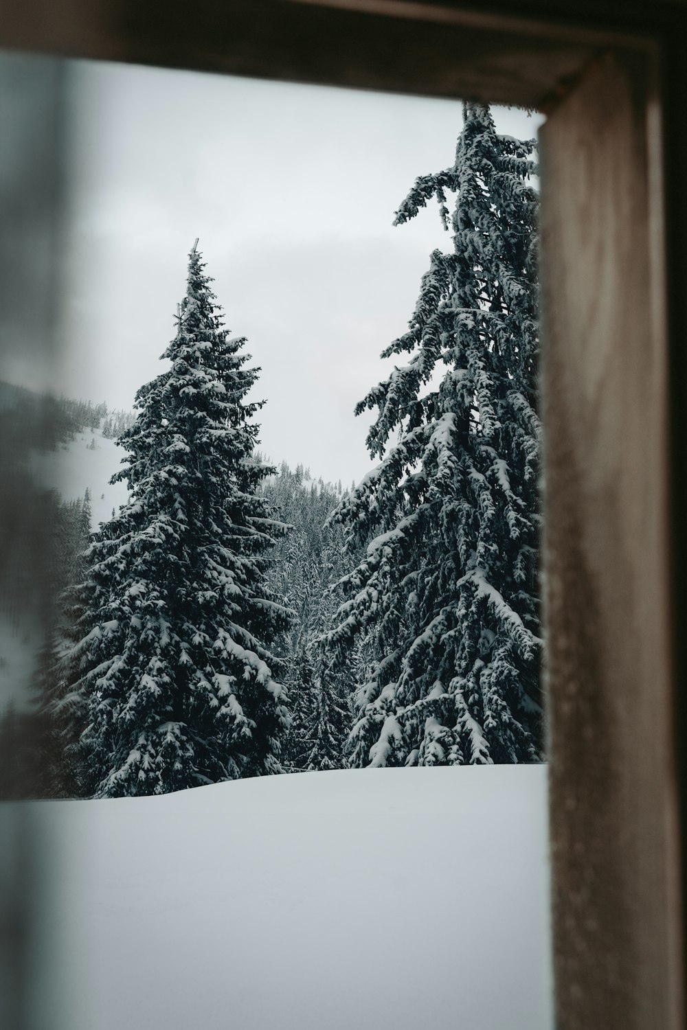 uma vista de uma floresta nevada através de uma janela