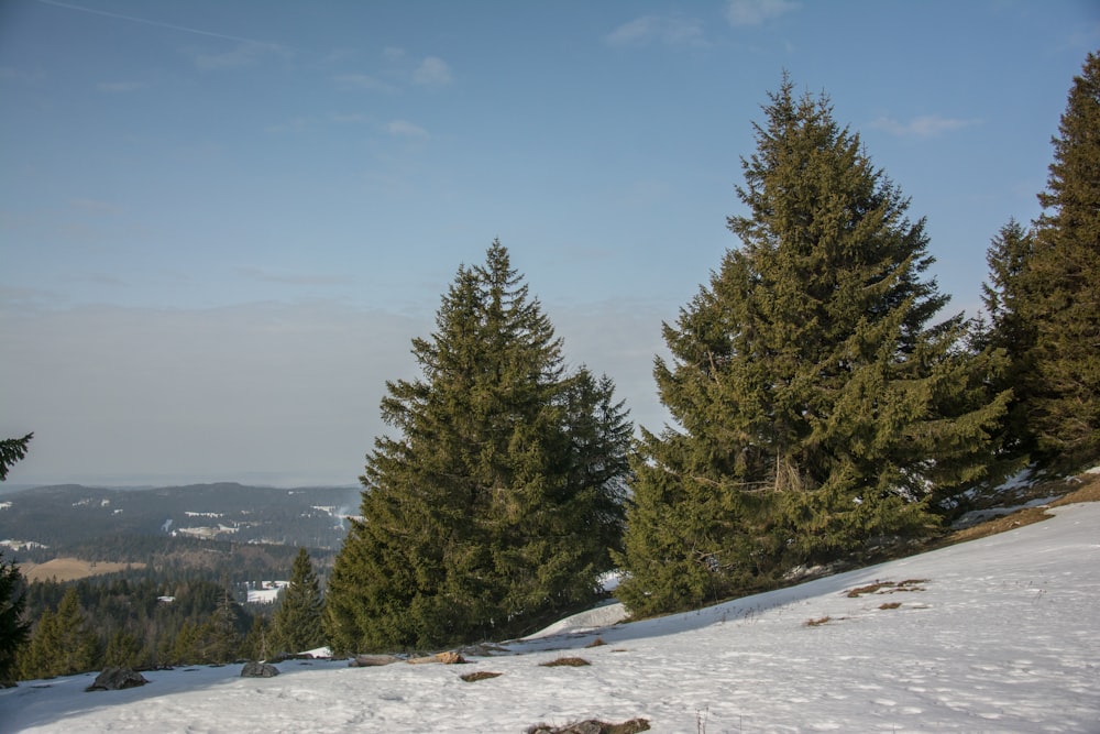 a snow covered hill with trees and a sky background