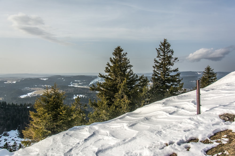 a snow covered hill with trees on top of it