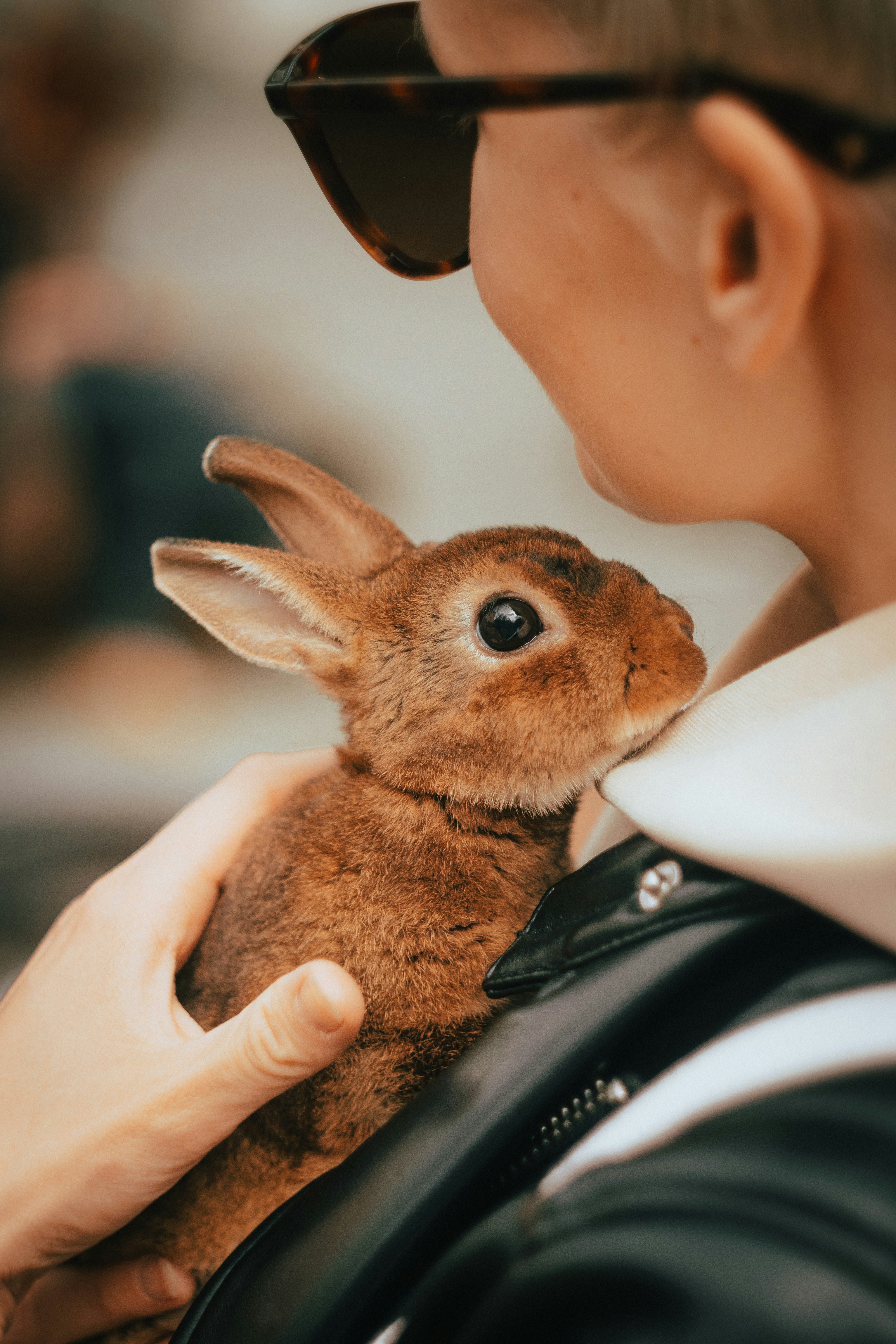 Tartu – Neighborhoods & Urban Structure