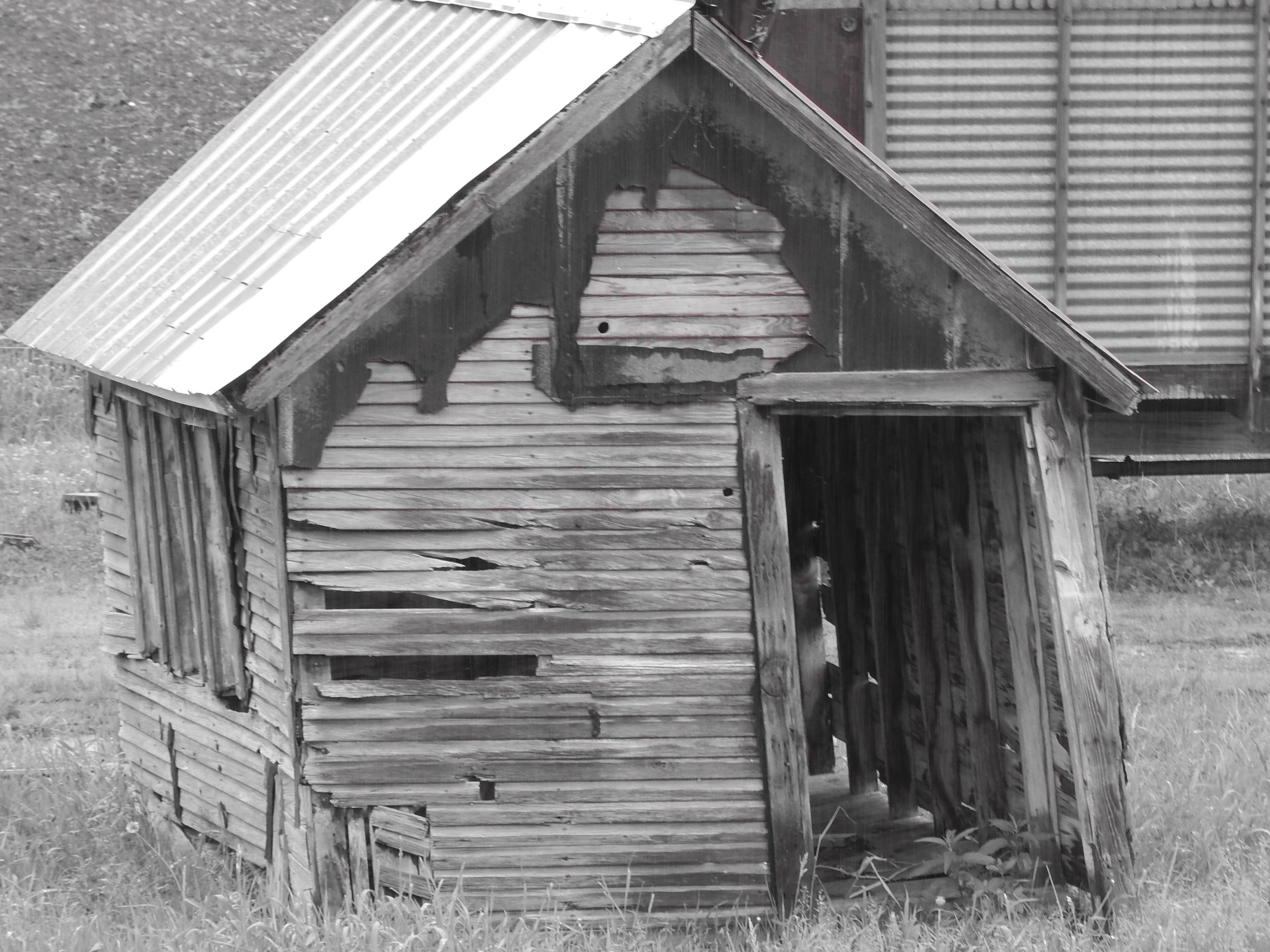 Shed Removal Project