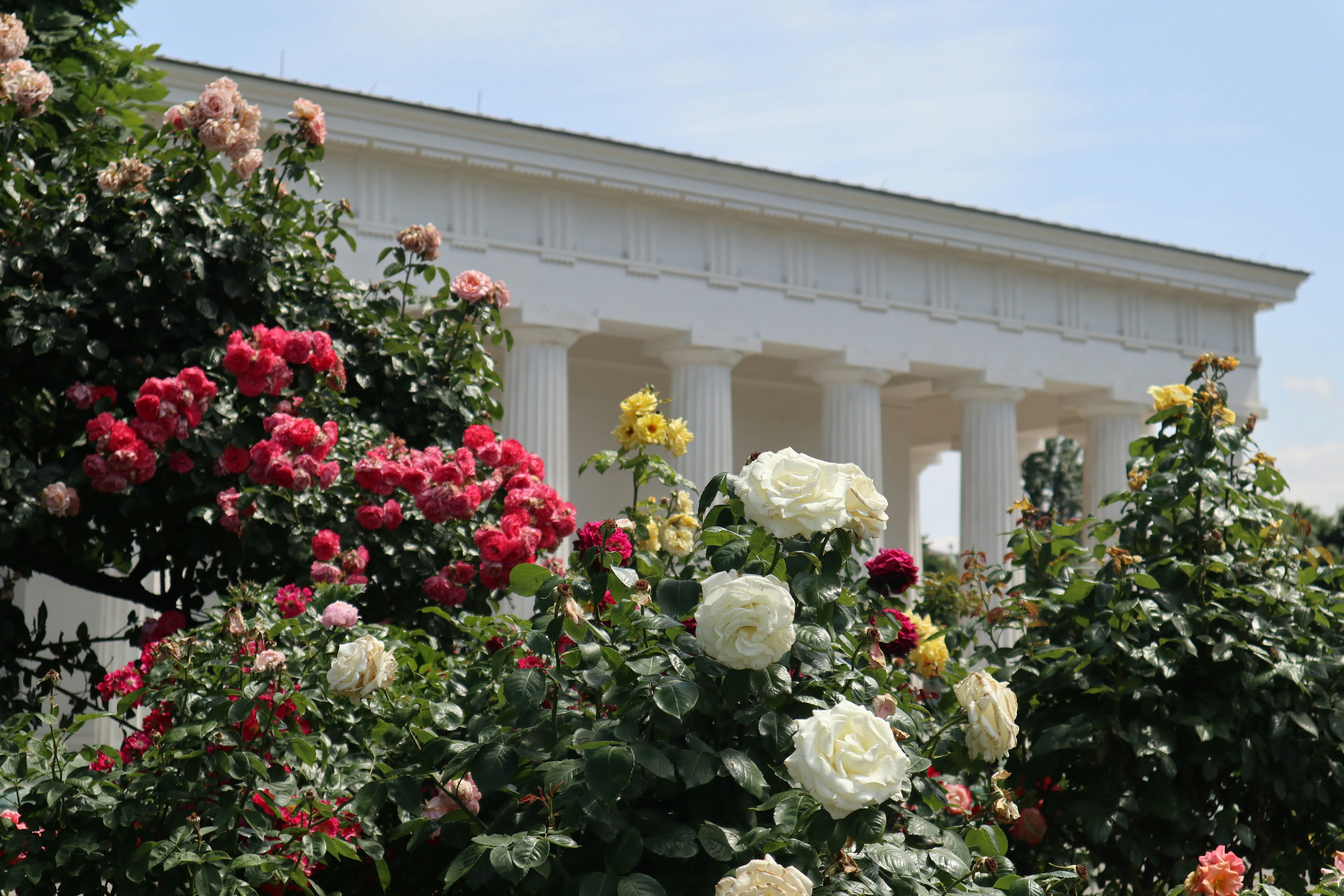a bunch of flowers that are in front of a building, 