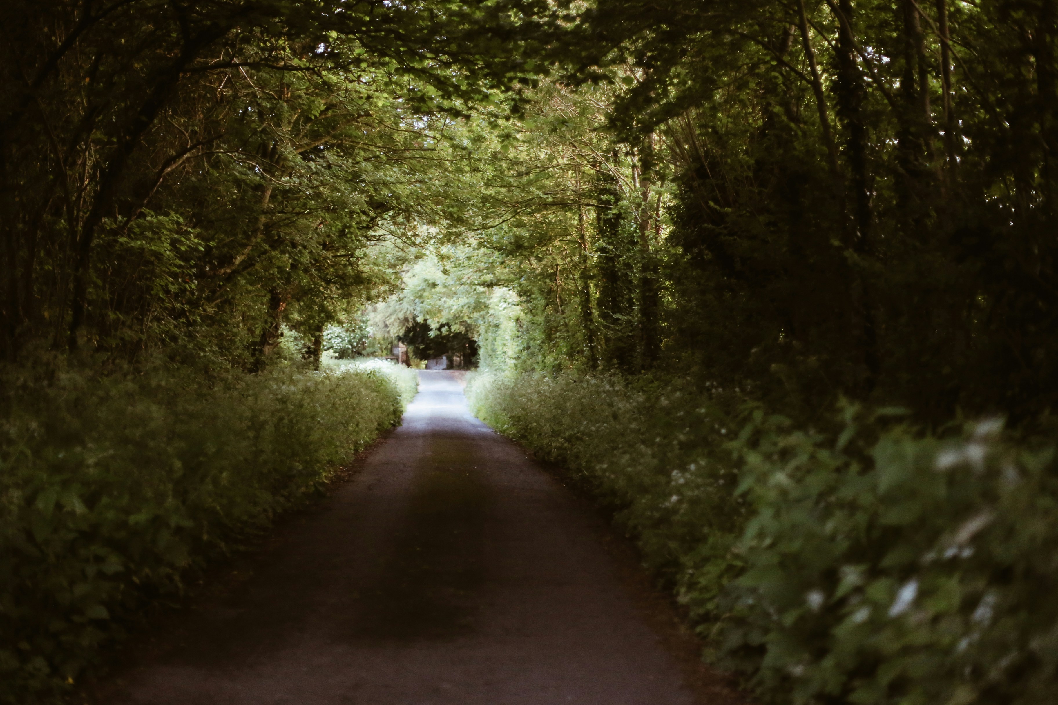 Photo by jessicalfadel