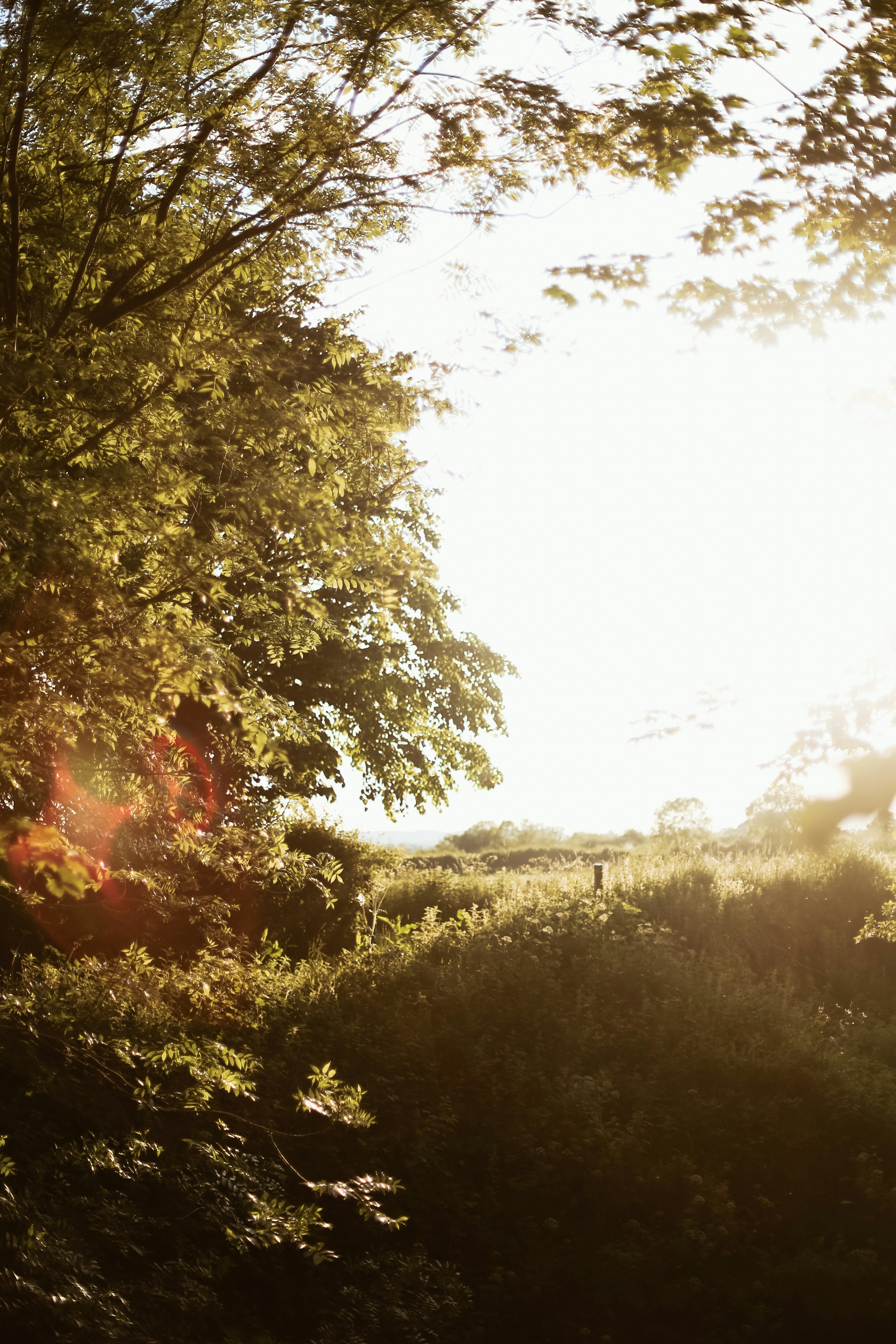 Photo by jessicalfadel