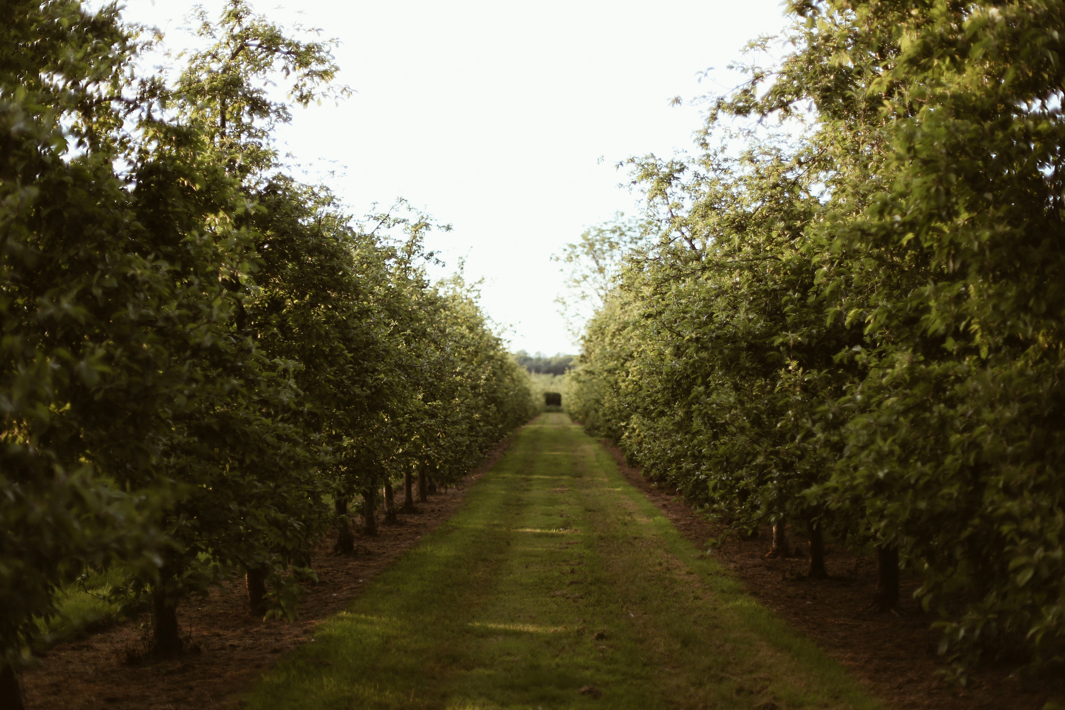 Photo by jessicalfadel