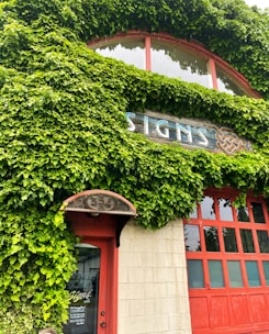 A building facade covered in lush green ivy with a red door and window frames. Above the door, a wooden sign displays the word 'SIGNS' in a stylized font. The structure has a vintage and natural aesthetic, highlighted by the combination of vibrant greenery and warm red tones.