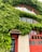 A building facade covered in lush green ivy with a red door and window frames. Above the door, a wooden sign displays the word 'SIGNS' in a stylized font. The structure has a vintage and natural aesthetic, highlighted by the combination of vibrant greenery and warm red tones.
