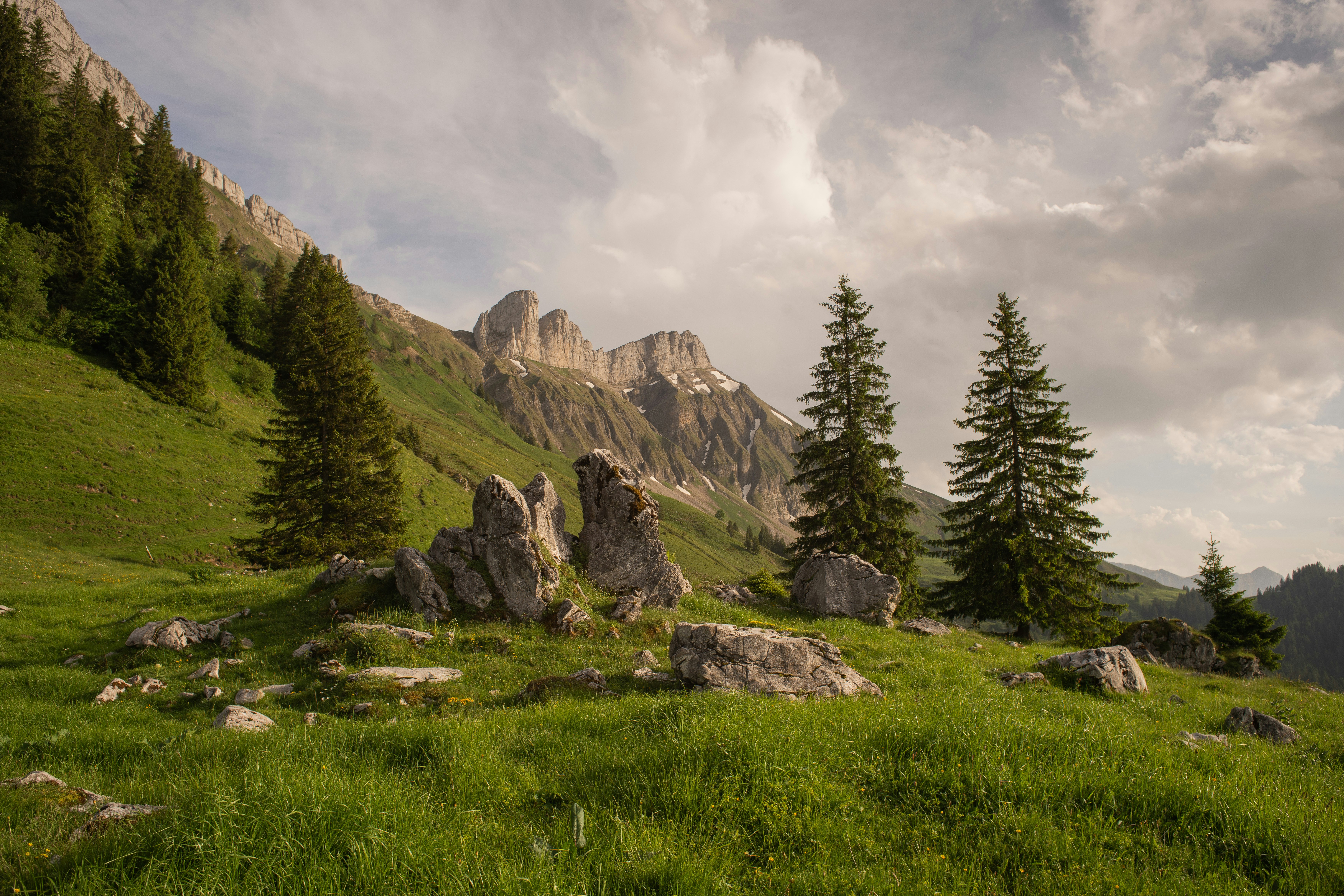 Photo by fabianbetto