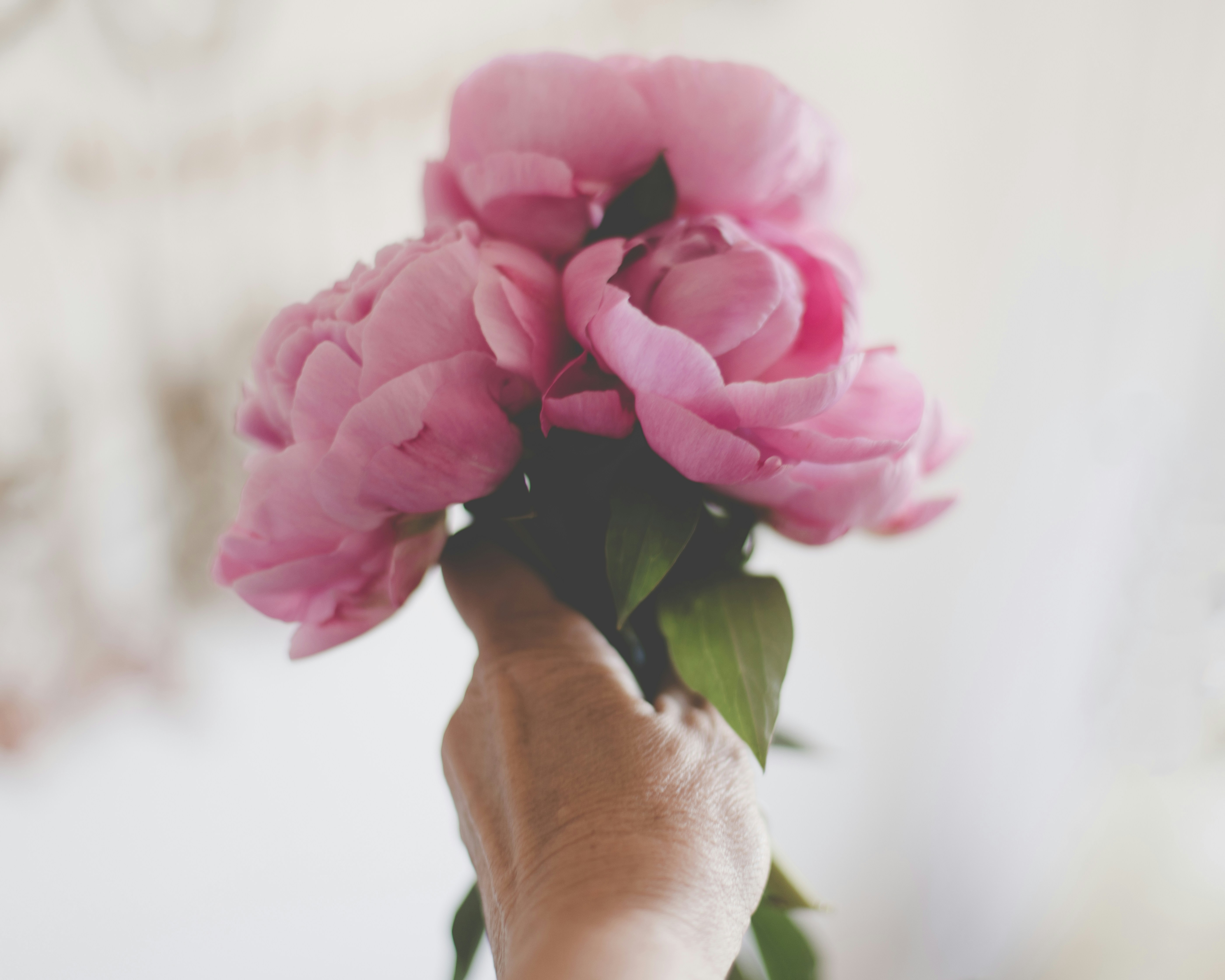 Photo by sixteenmilesout