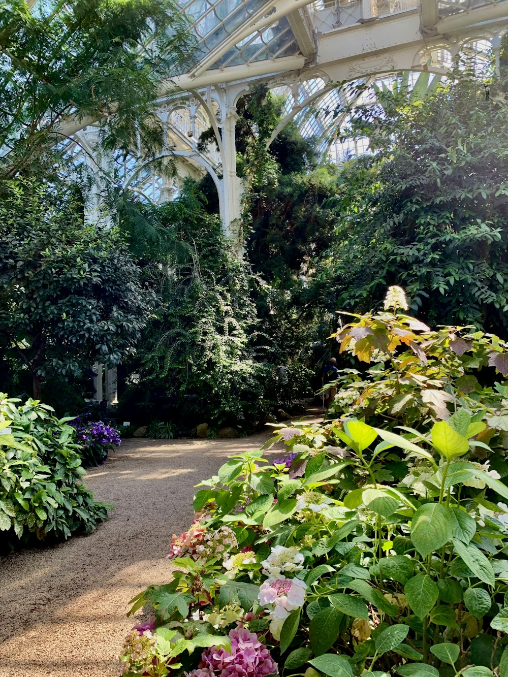 a garden with a walkway