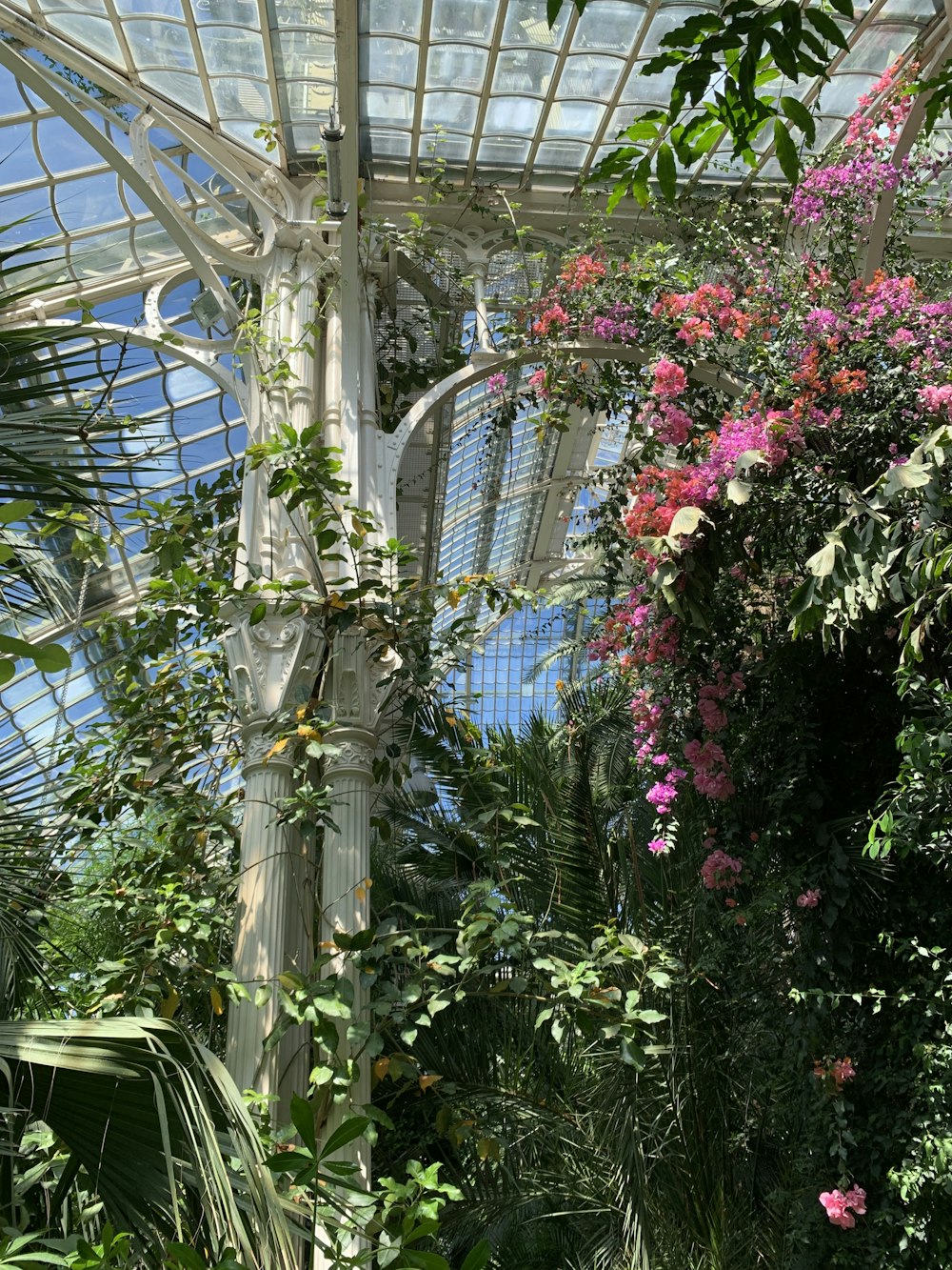 a large glass window with flowers