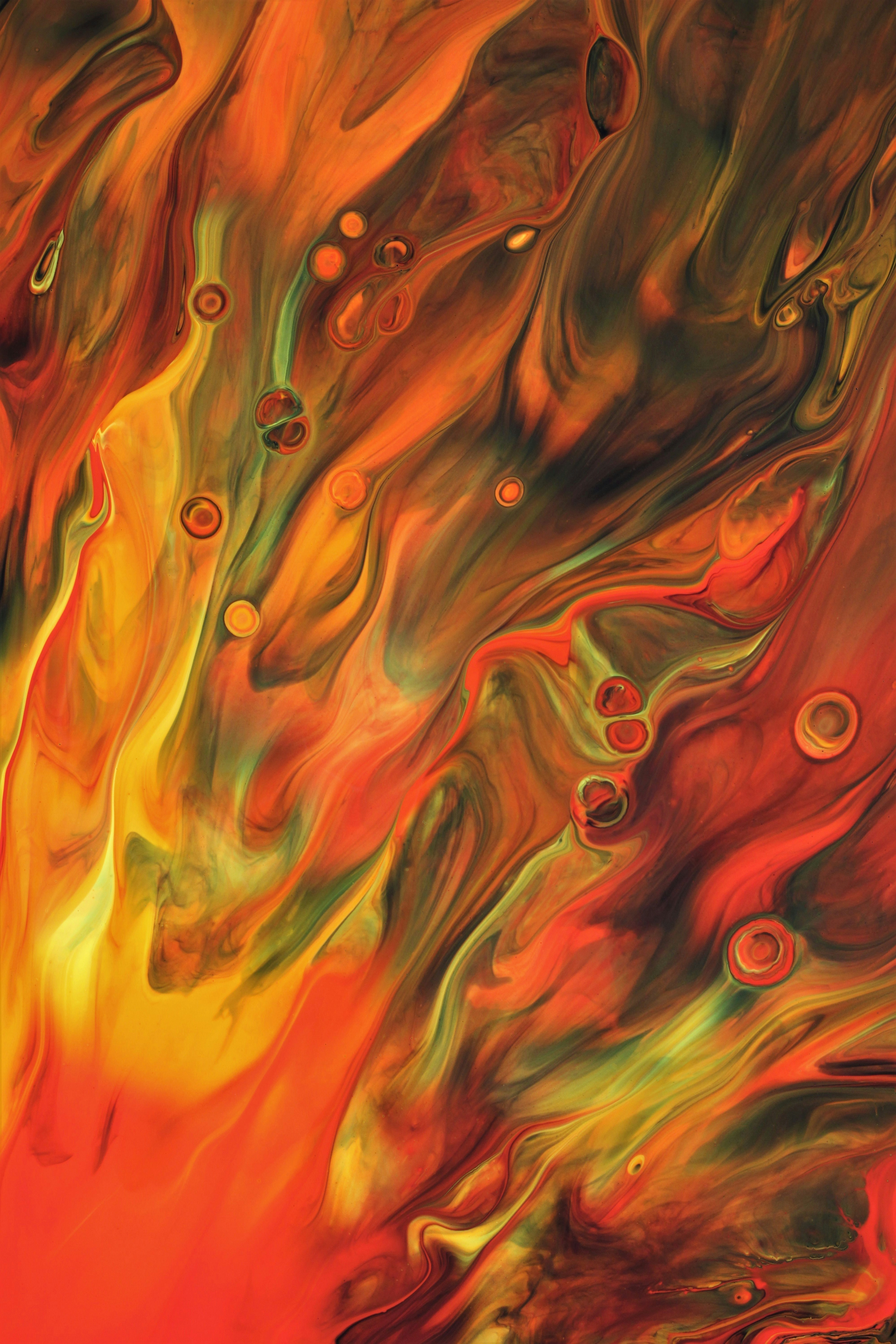 Photo by susan_wilkinson