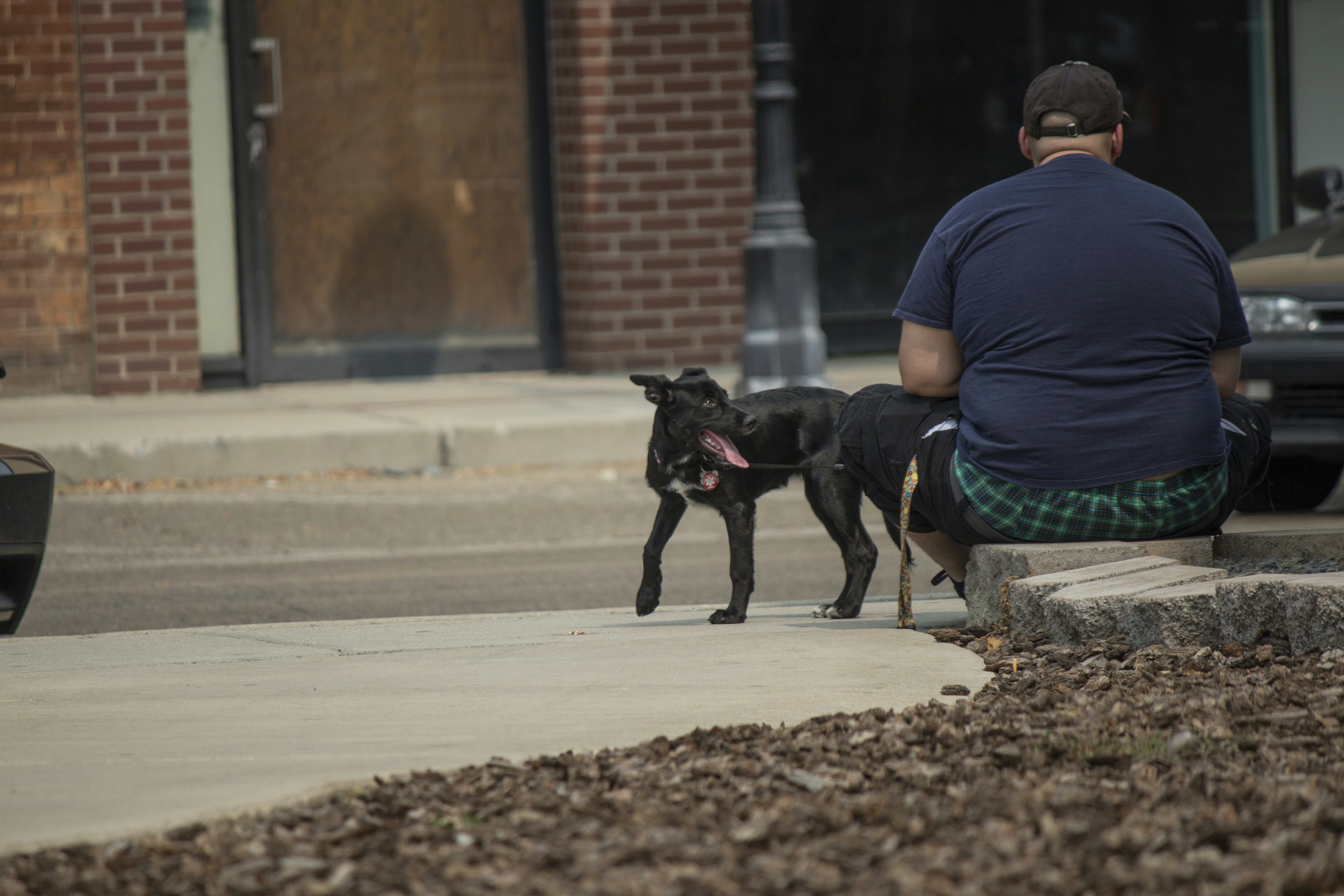 Dog and owner enjoying courtyard space in Uptown Chicago - Chicago apartments with dog parks