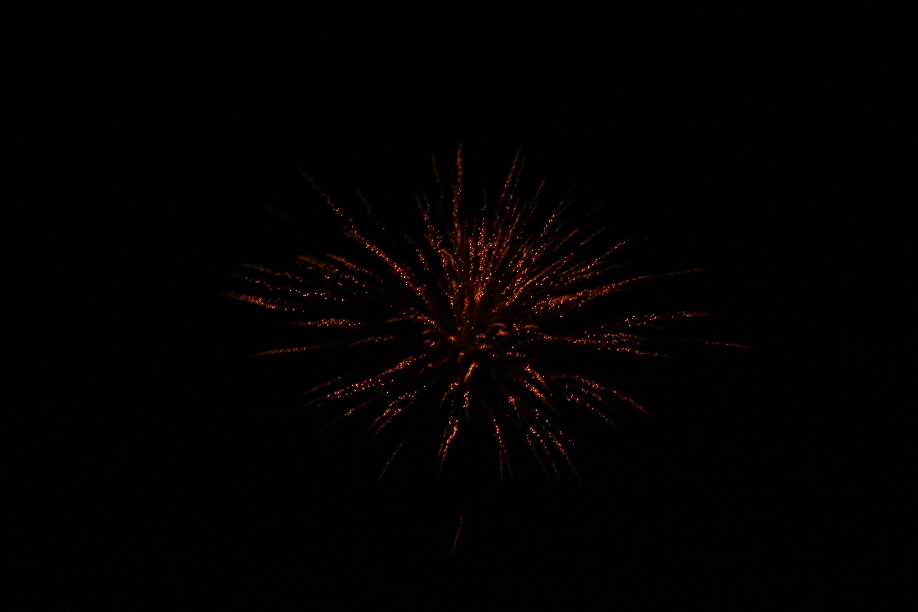 Photo by faw_tographer