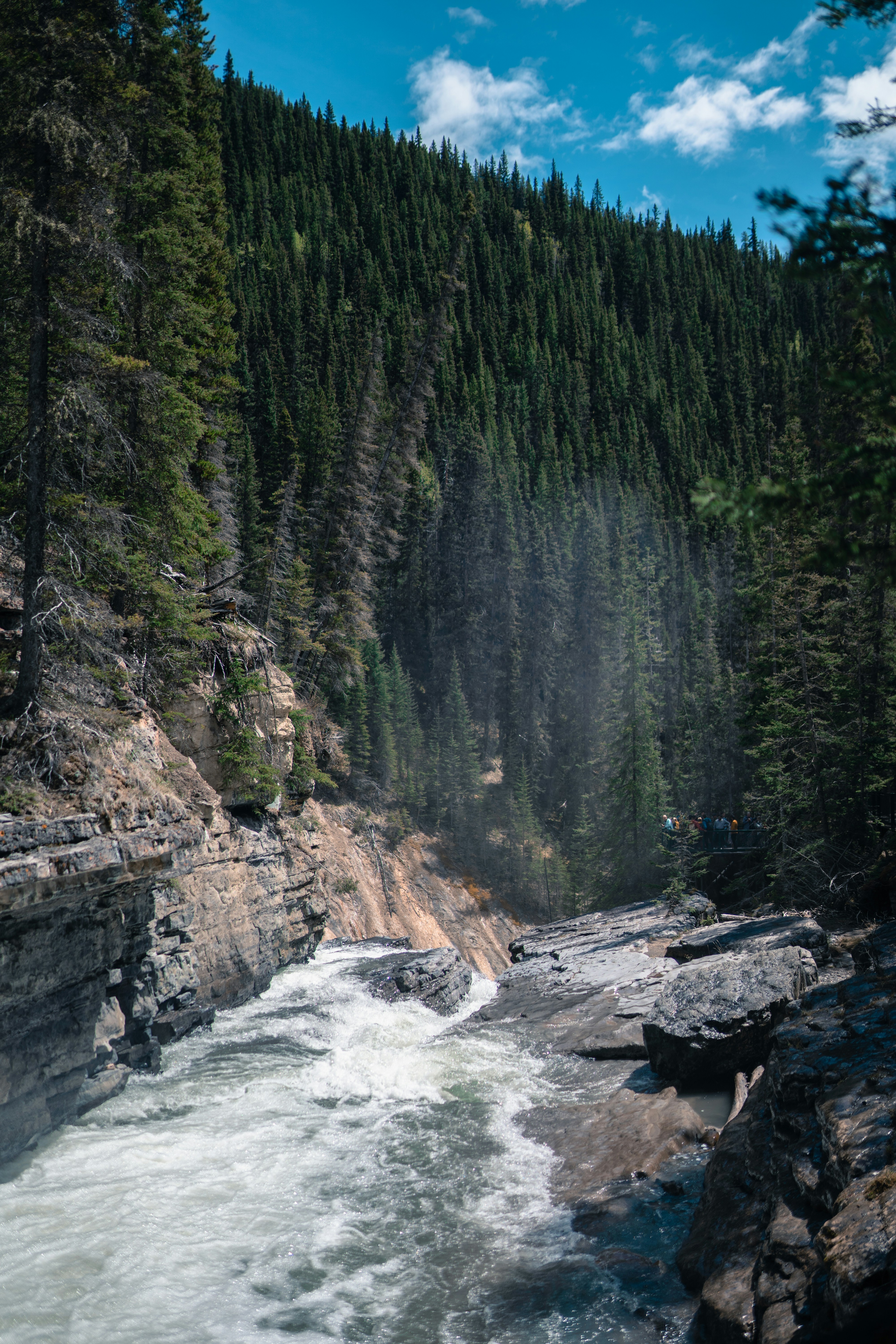 Photo by stuartdavies