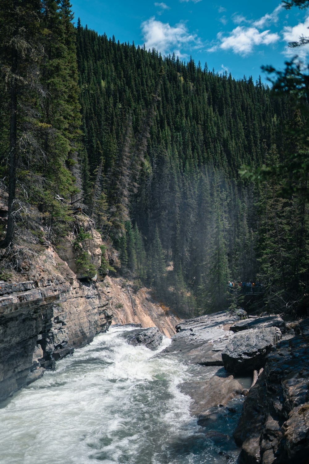 a river running through a rocky area