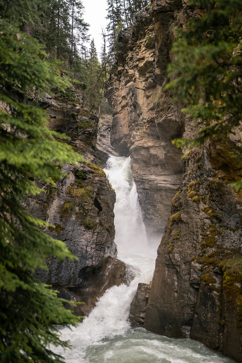 a waterfall in a forest