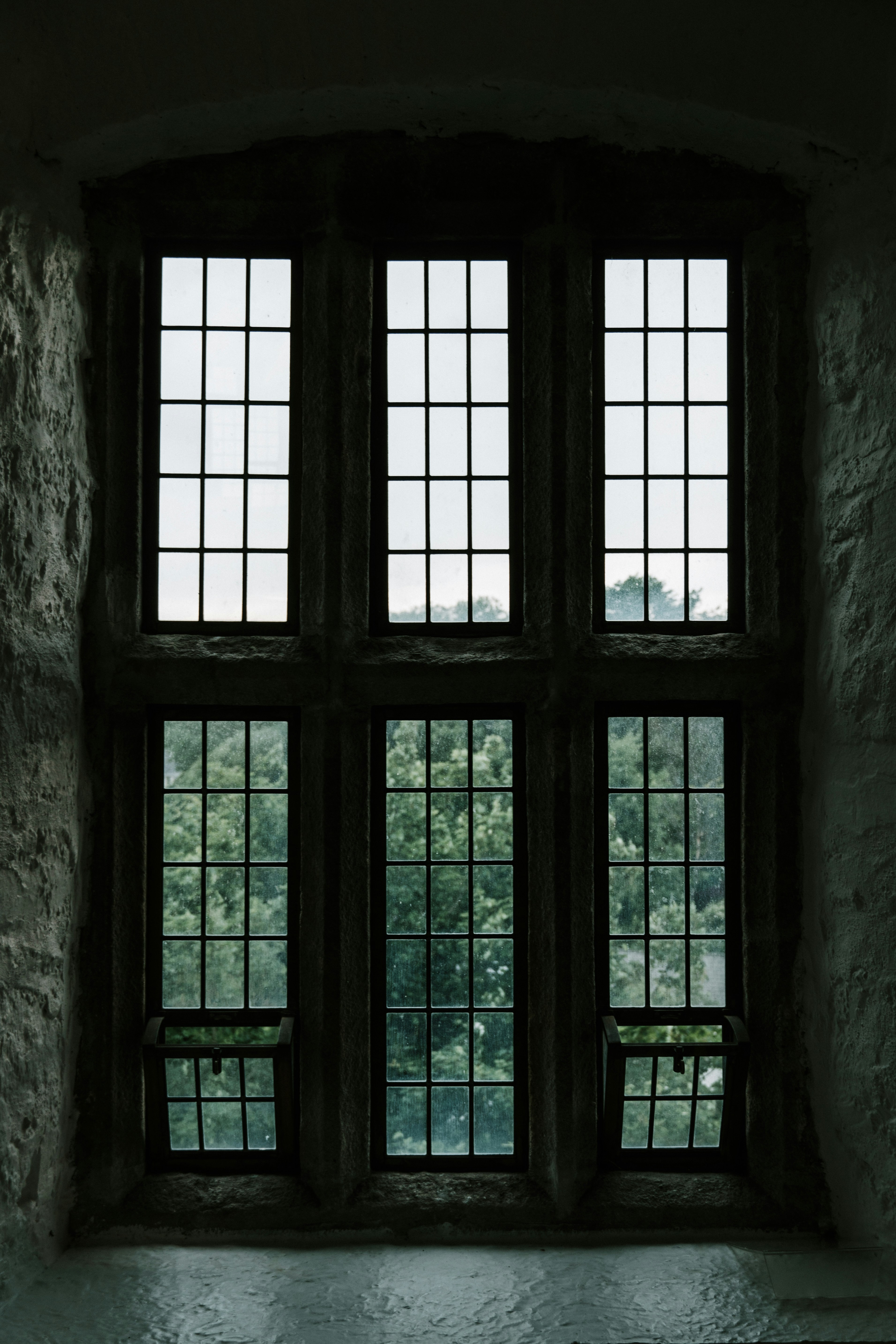 Photo by jaspergribble