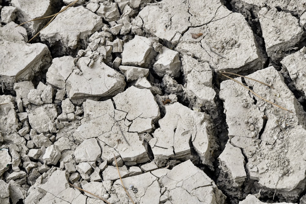 a pile of rocks