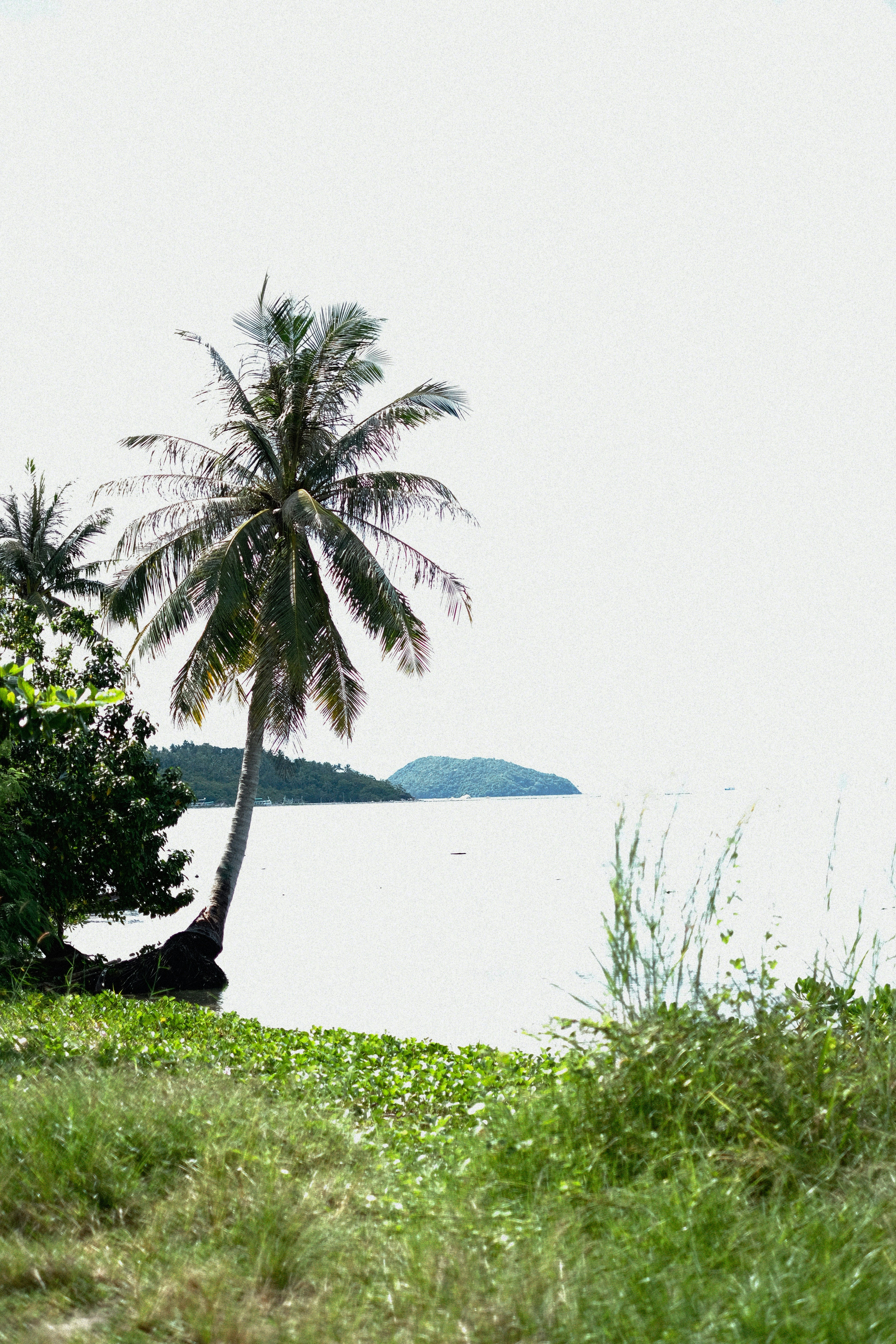 Photo by alexeydemidov