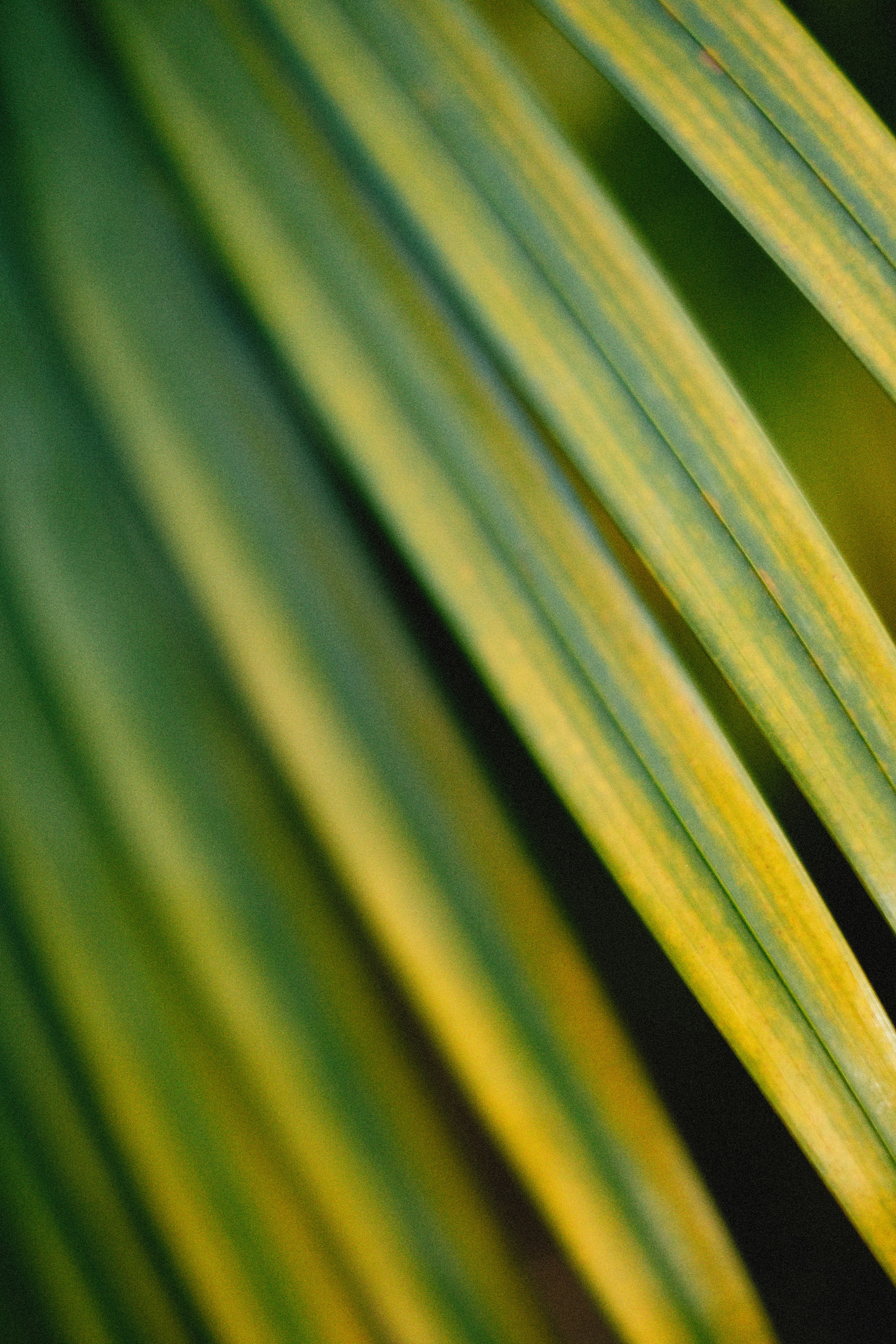 Photo by alexeydemidov